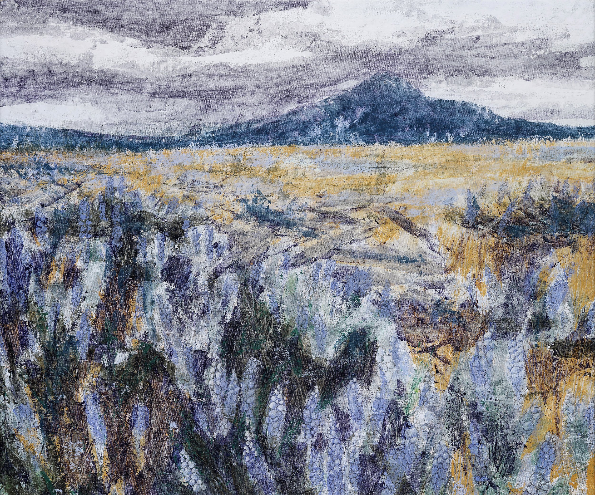 Lupine Profusion, acrylic and graphite, 30x36 inches
$2250