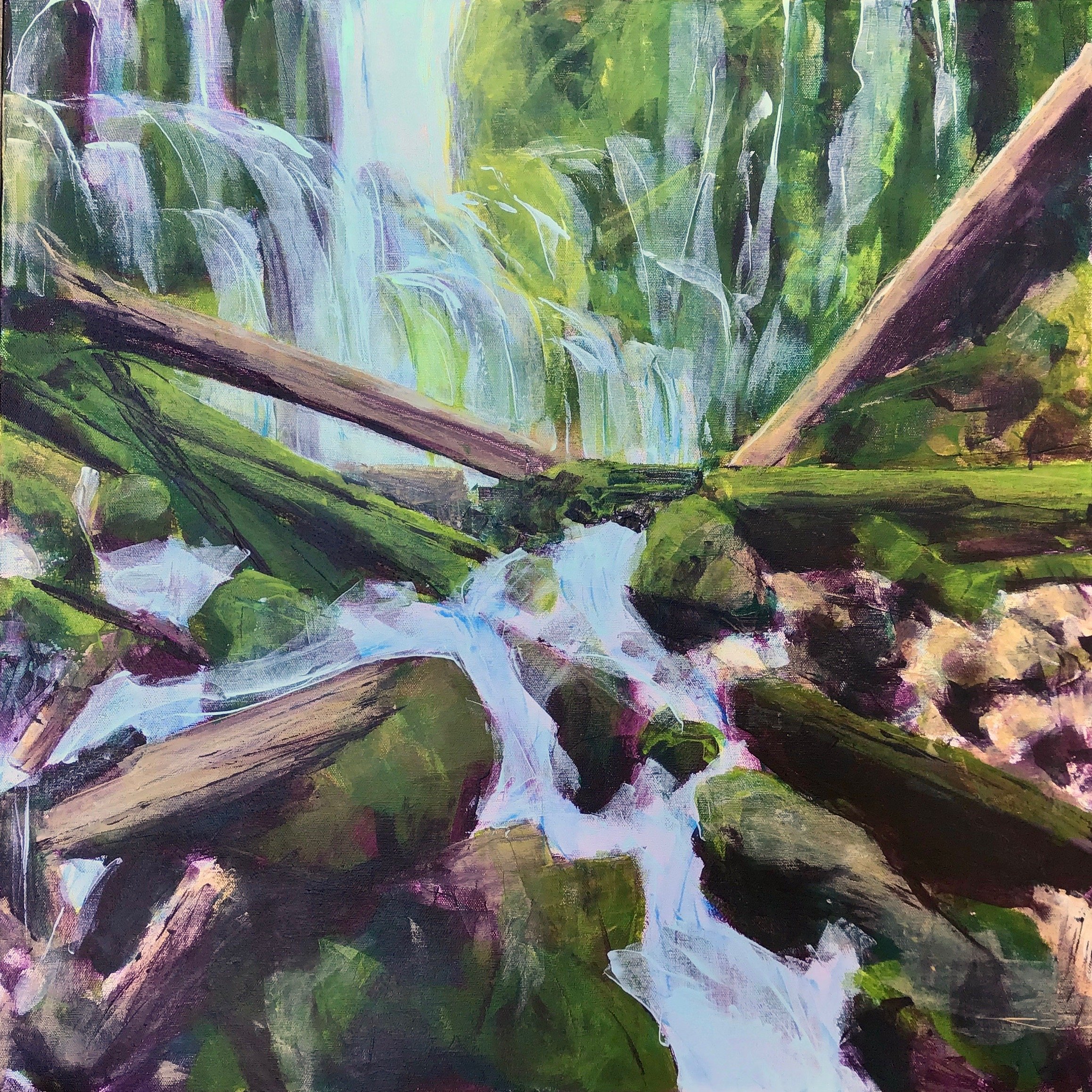 Kissed by the Sun – Proxy Falls