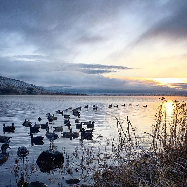 Decoy Raft™ Waterfowl Platform — Southern Flyway Outfitters