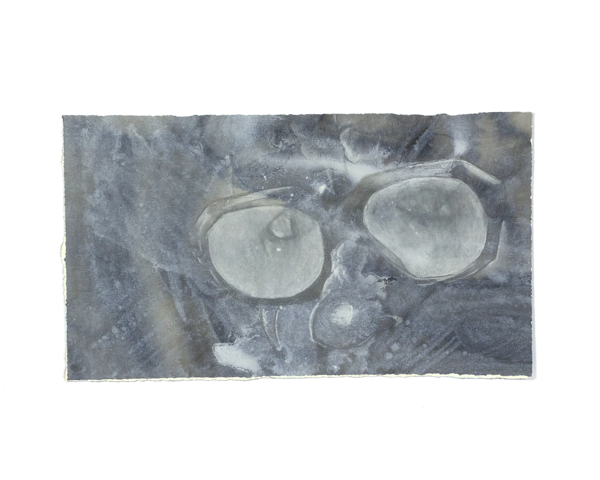Acanthophora
