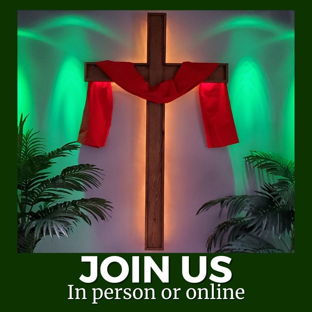 Join us at our in person services at 9:00 or 11:00 this morning!

Or join us online! You can watch the service ALL DAY on our Facebook and:
WEBSITE: https://www.cmasidney.com/live
YOUTUBE: https://www.youtube.com/c/CircleDriveAllianceChurch
VIMEO: ht