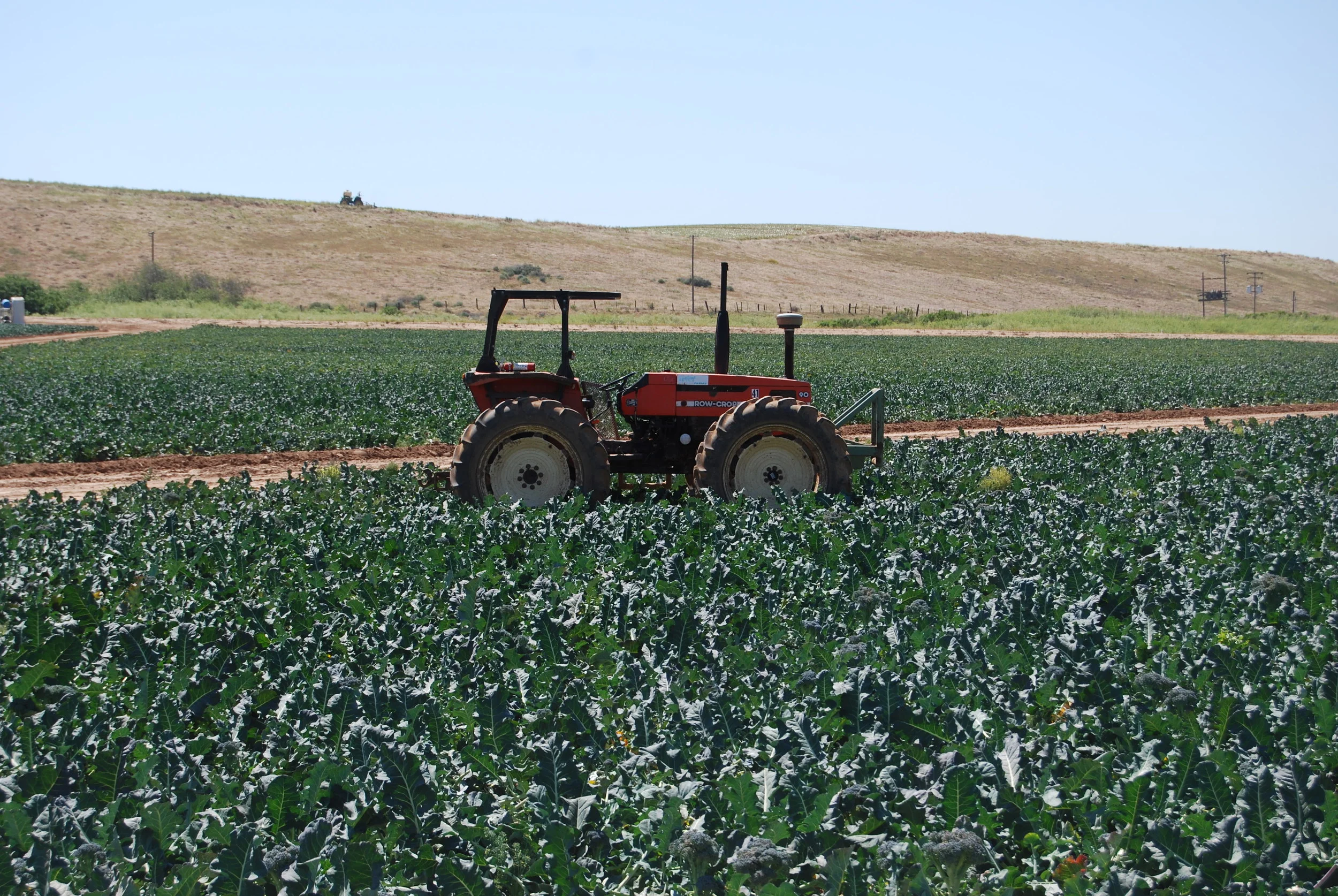 Row Crop Tractor