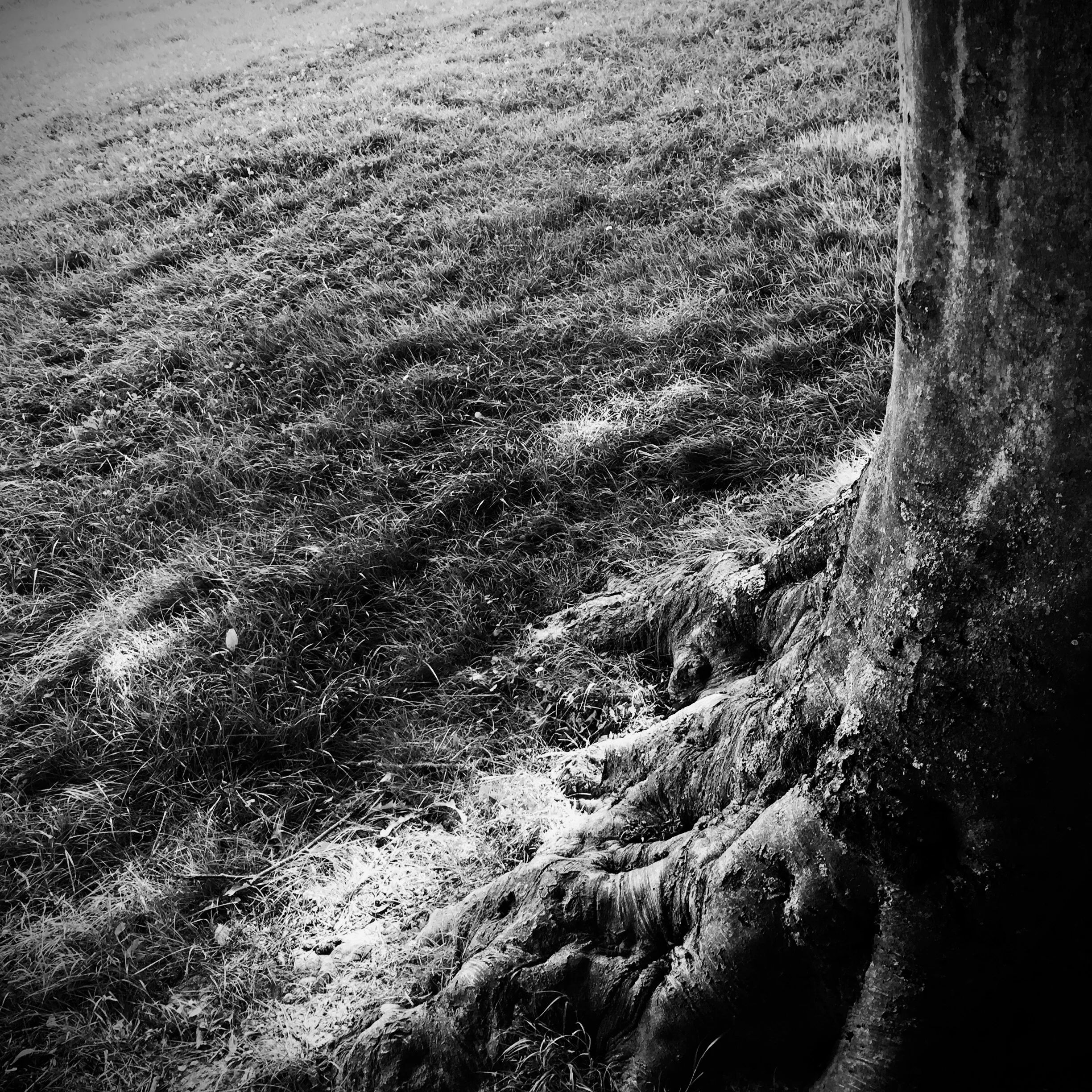 Quel est mon chemin de vie : la question-piège? 