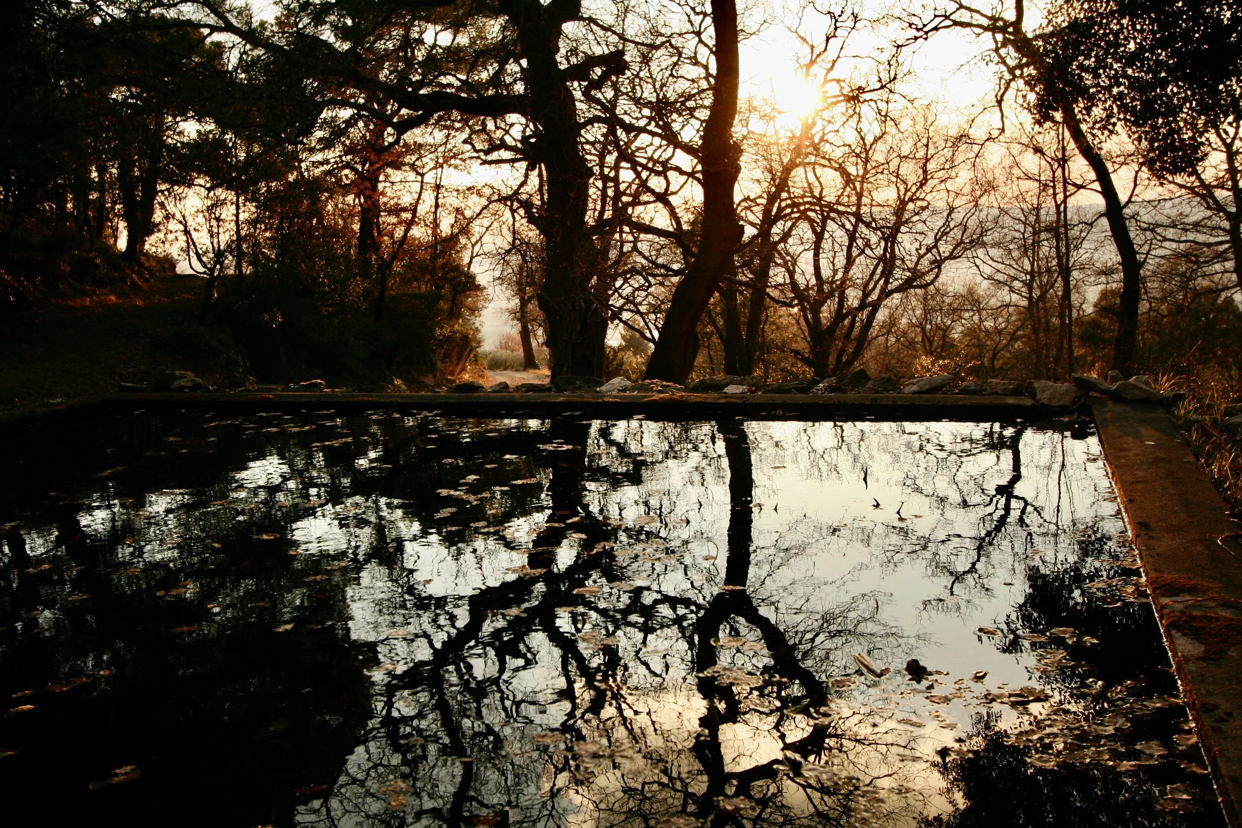 2006-03-12 at 18-11-27.jpeg