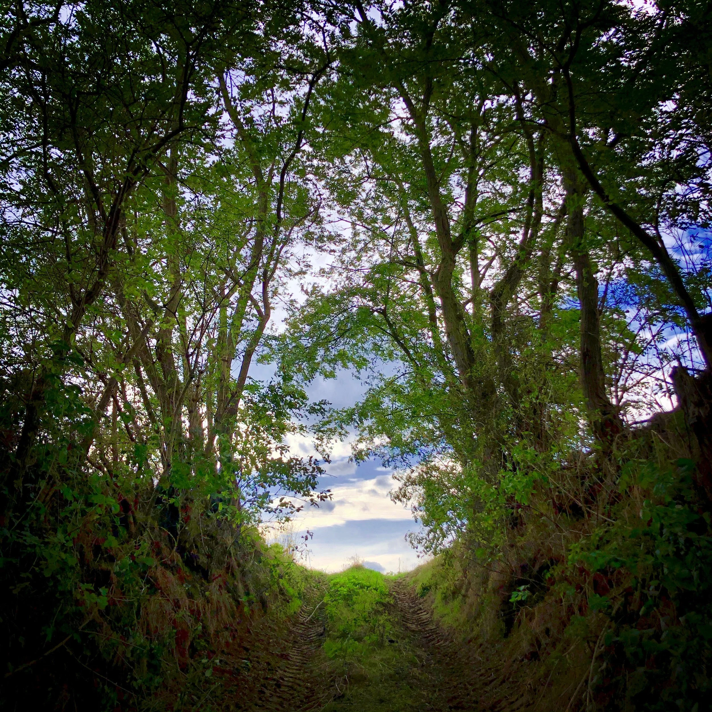 Mental et spiritualité. Quelle différence? Quelle définition?