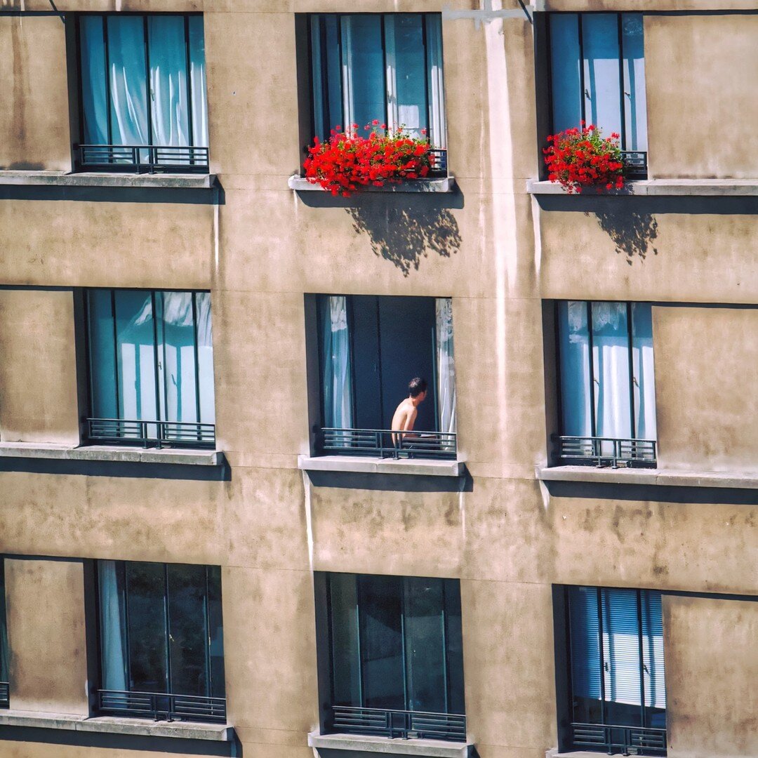 Les solitaires.
Soleil &amp; Confinement [1/3]

#bruxelles #bruxellestagram #brussels  #igersbrussels #visitbrussels #welovebrussels #seemybrussels  #ilovebrussels #bruxellesmabelle #confinement #solitude #labelgiqueinsolite #lavieestbelge #covid