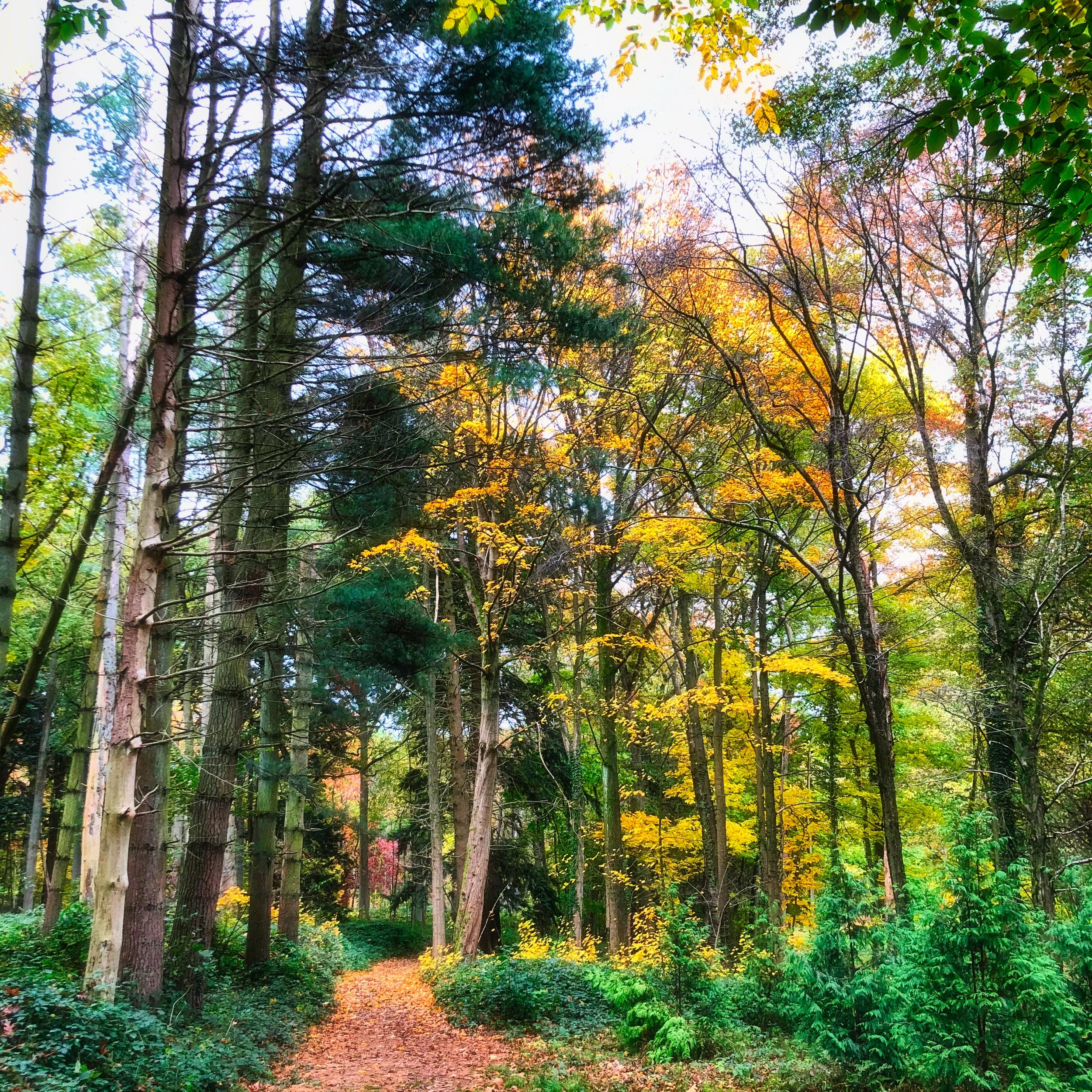 Énergie de l'Automne : quand les fantômes du passé sont vivants (Toussaint)
