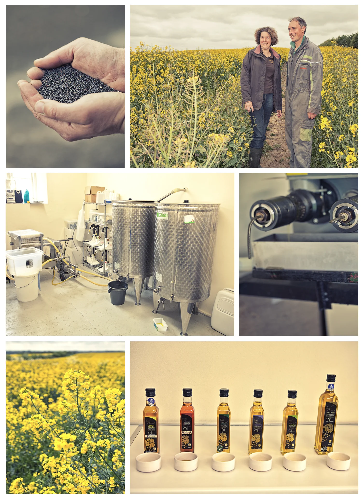 Rapeseed Oil production at Wilmington Farm