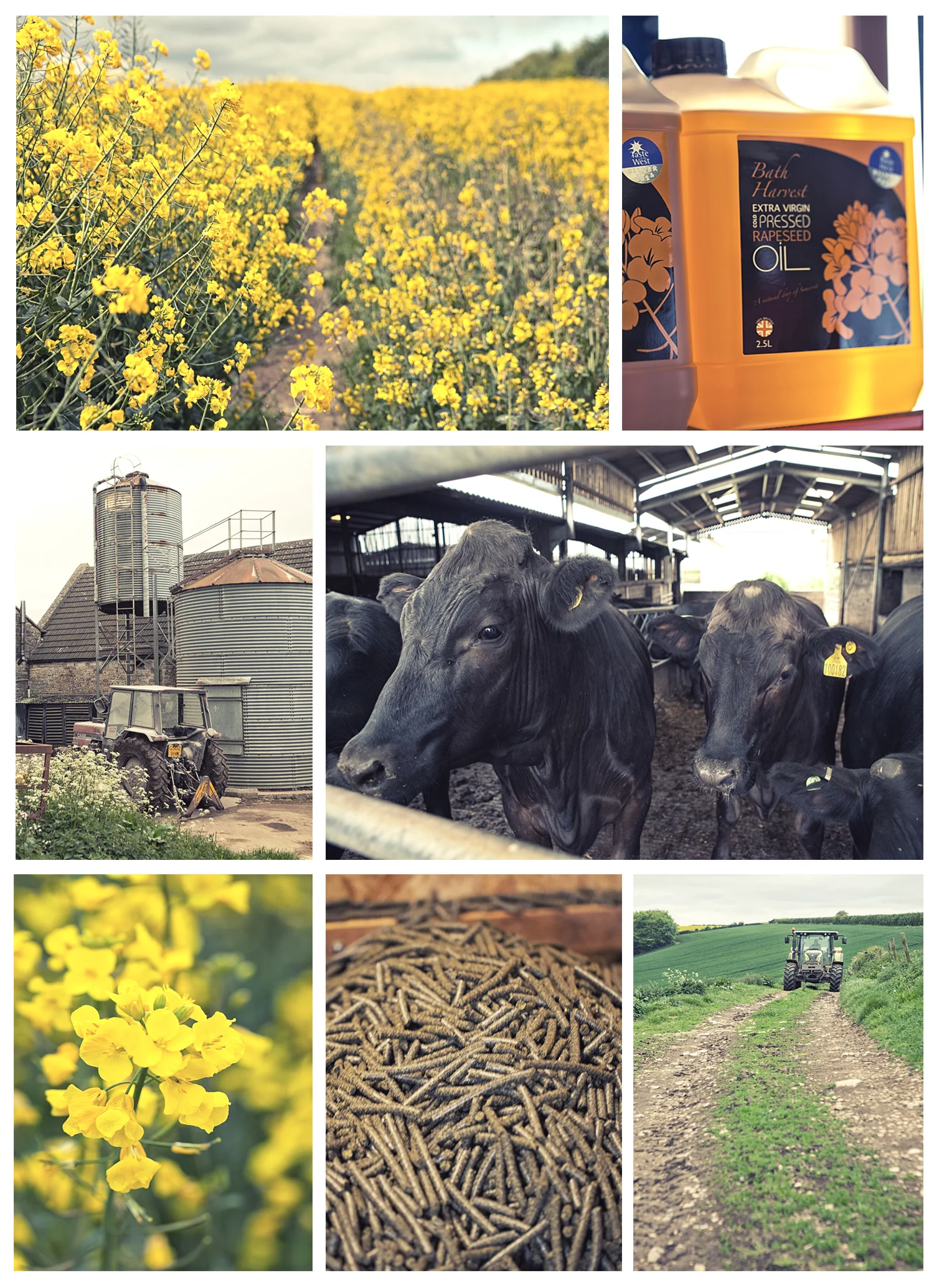 Wilmington Farm, Somerset
