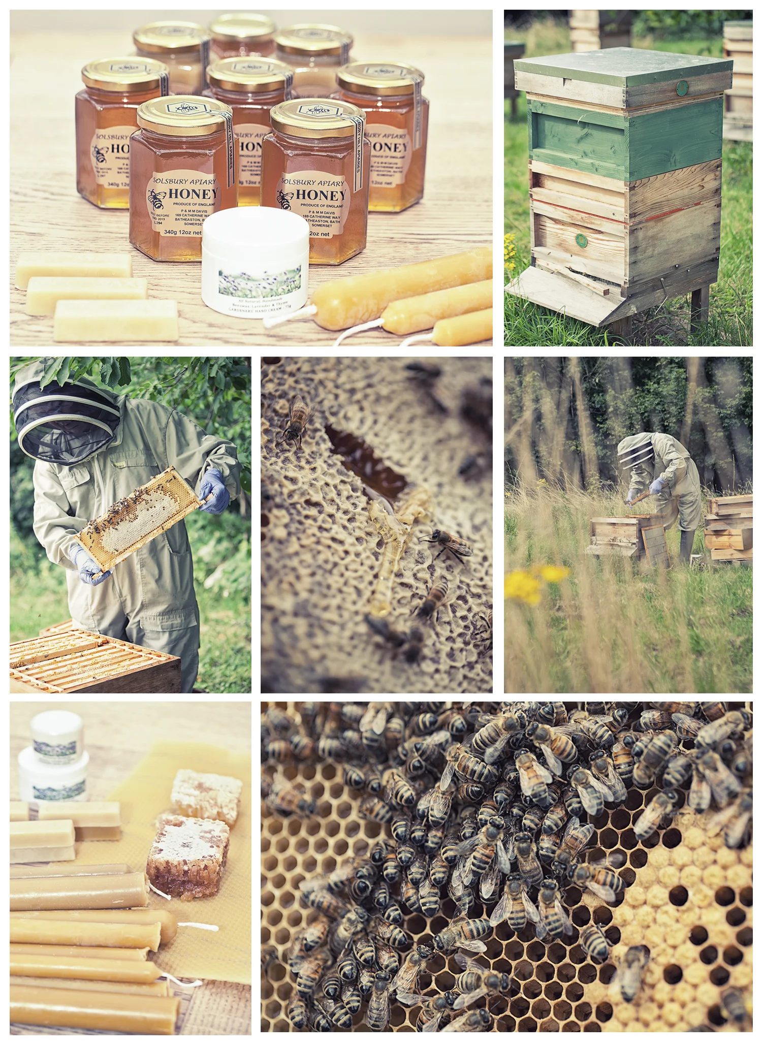 Pete Davis, attending his hives and the Solsbury honey he produces for the farm shops