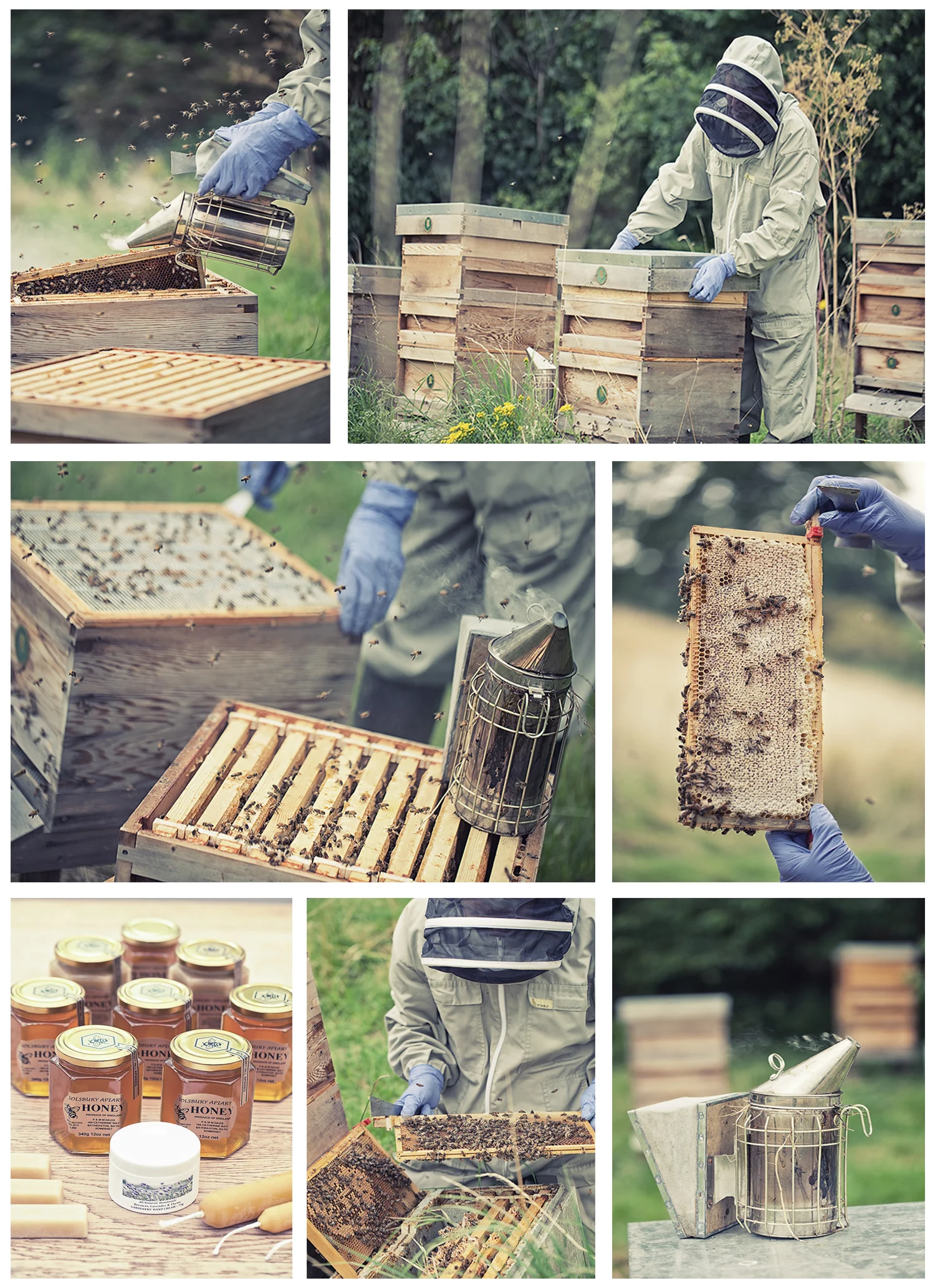 Pete Davis from the Bath BeeKeepers Association, and his Solsbury Honey