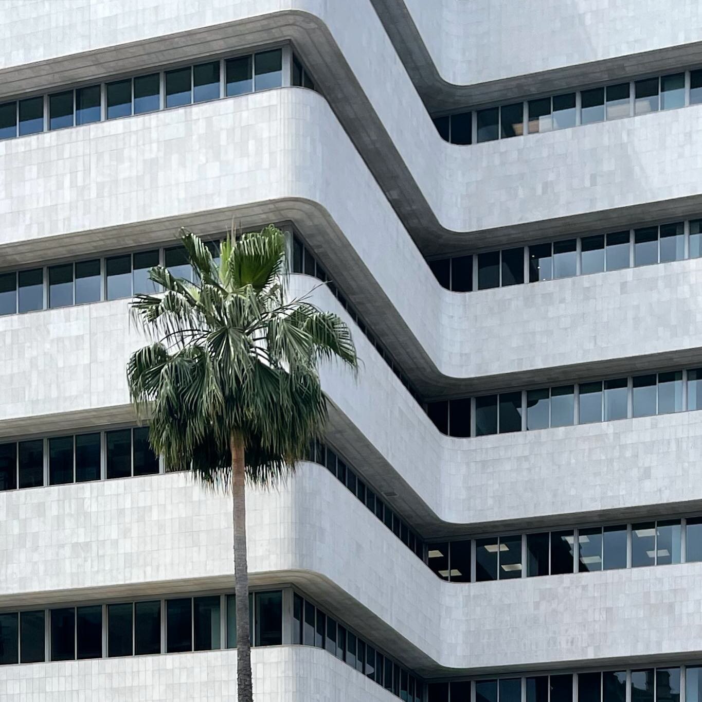 international style.
&mdash;

#wilshirebeverlycenter #victorgruen #beverlyhills #losangeles #minimal_perfection #architecture_minimal #1_unlimited #architecture #architecture_hunter #conquer_la #discoverla #visitlosangeles #shotoniphone #california #