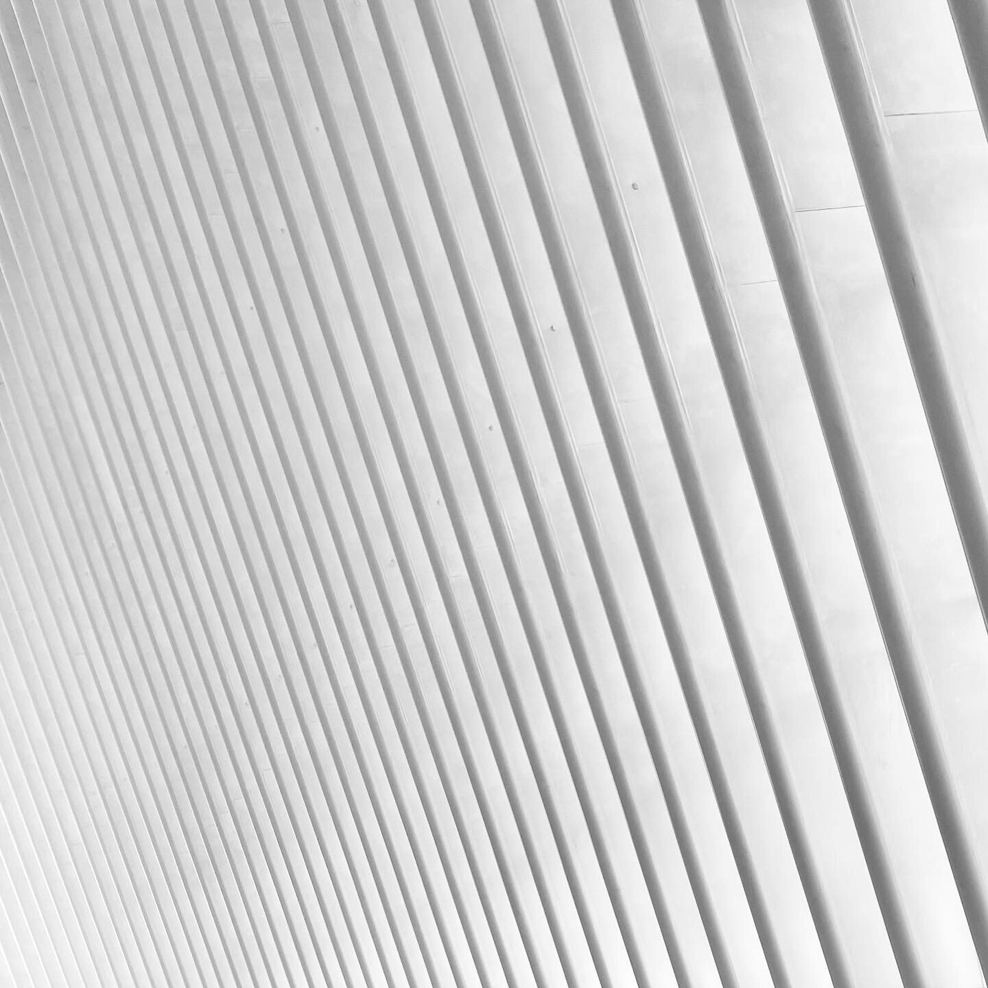 backslash.
&mdash;

#santiagocalatrava #architecture #architecturephotography #architecturedesign #blackandwhite #theoculus #worldtradecenter #archhunter #instaarchitecture #architecture_minimal #vscoarchitecture #fubiz #thecreatorclass #createexplor