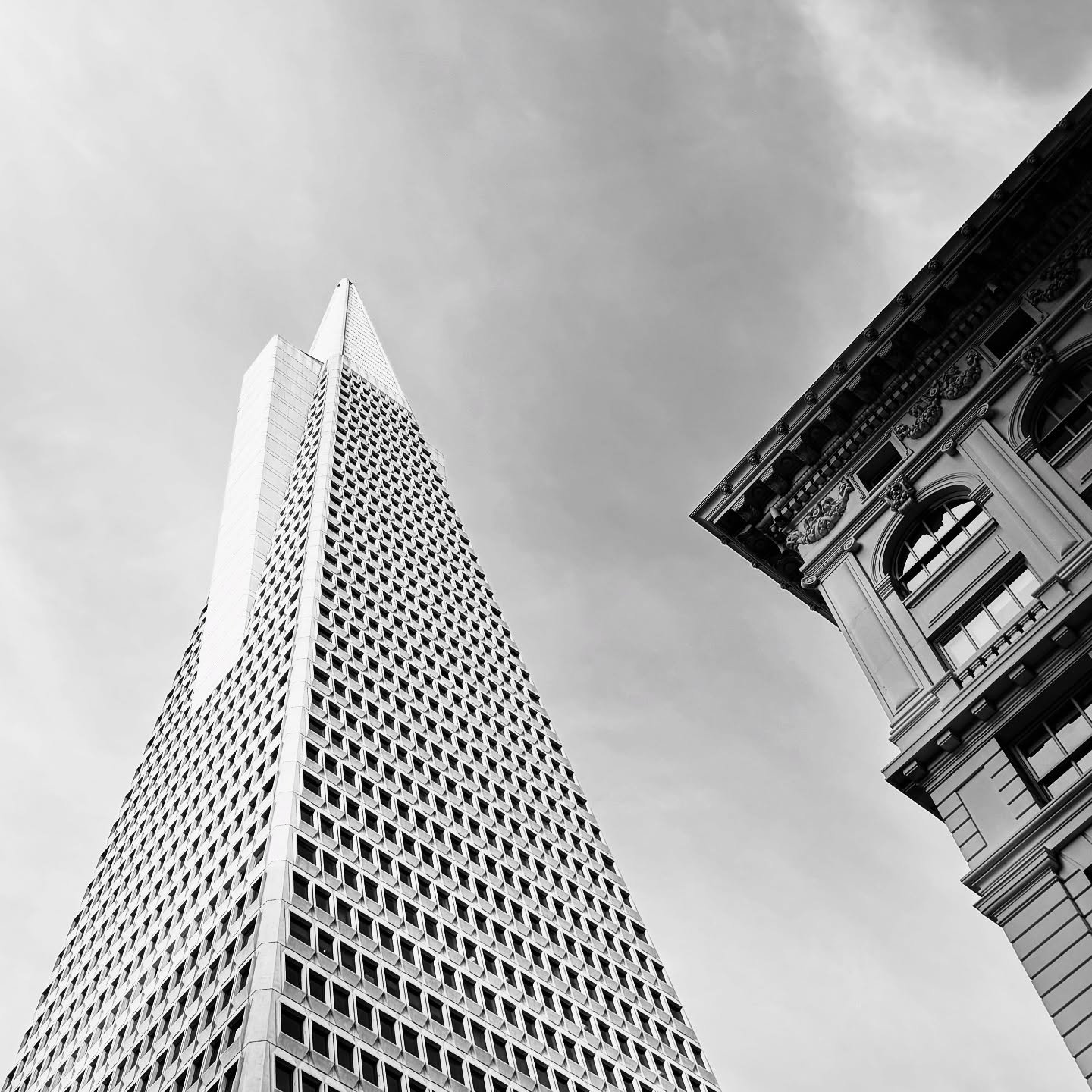 a san francisco staple.
&mdash;

#transamericapyramid #pyramid #sanfrancisco #williampereira #downtown #blackandwhite #minimal_perfection #architecture_minimal #1_unlimited #architecture #architecture_hunter #visitsanfrancisco #shotoniphone #californ