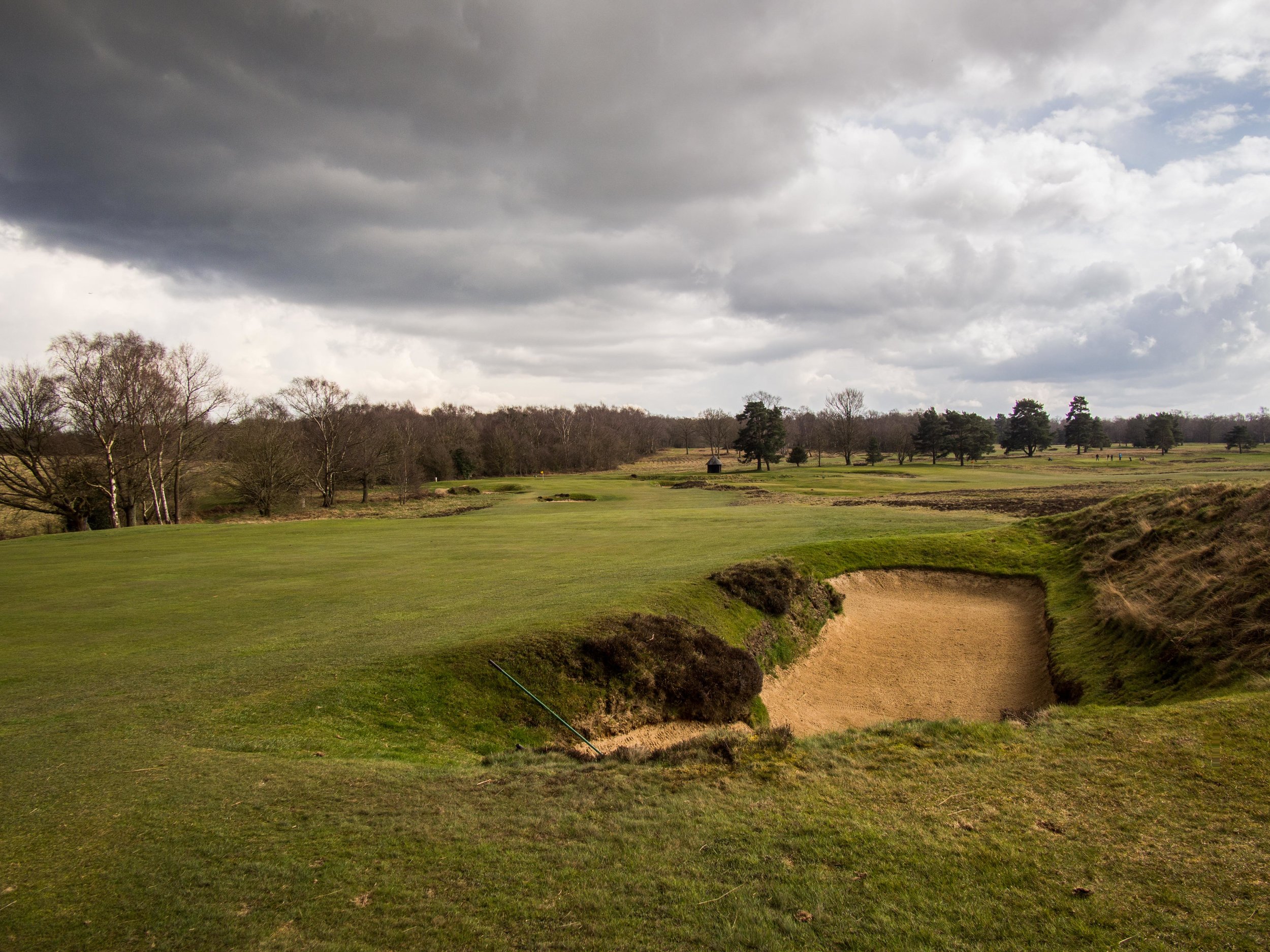 Walton Heath (Old)