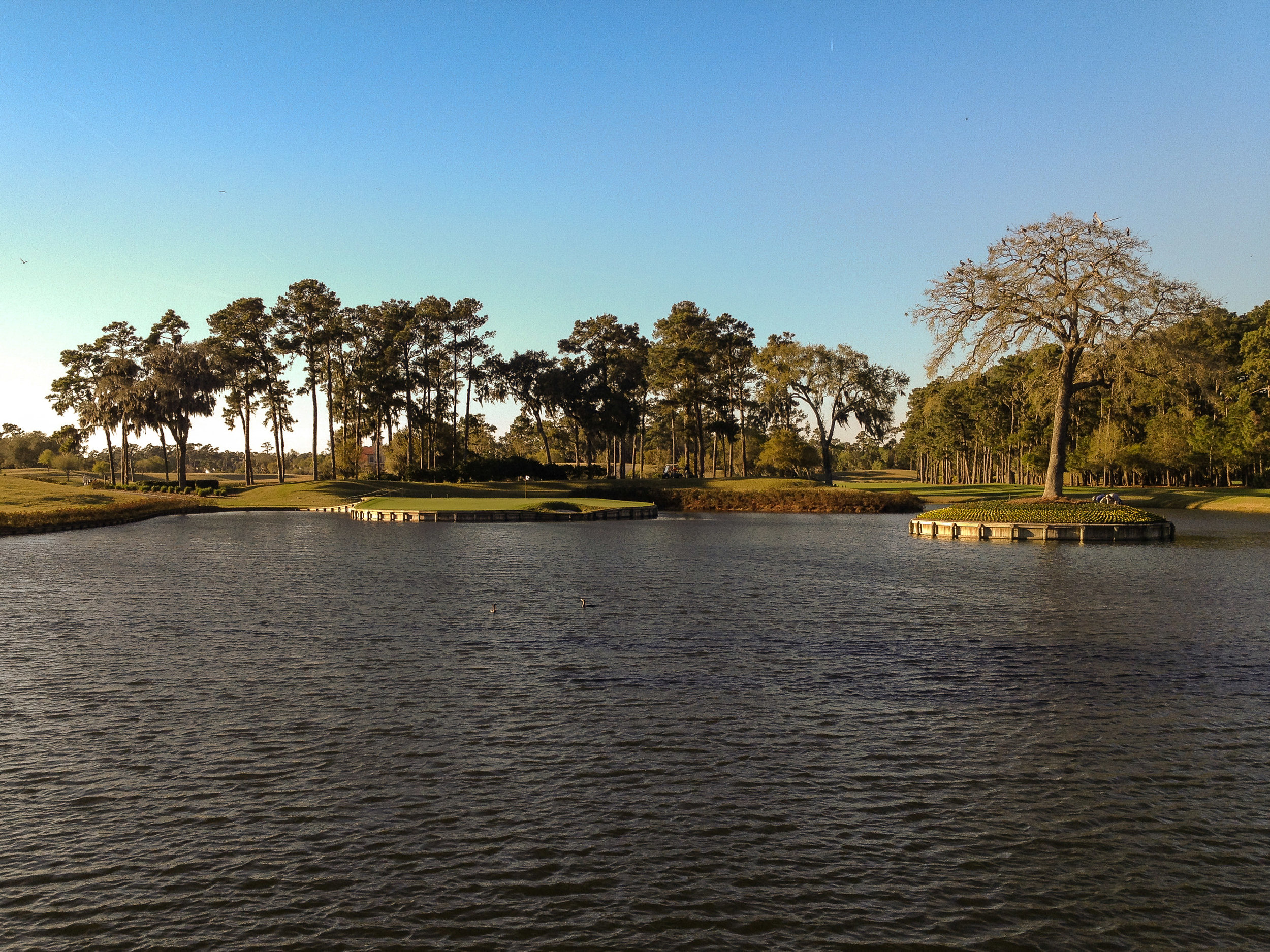 TPC Sawgrass