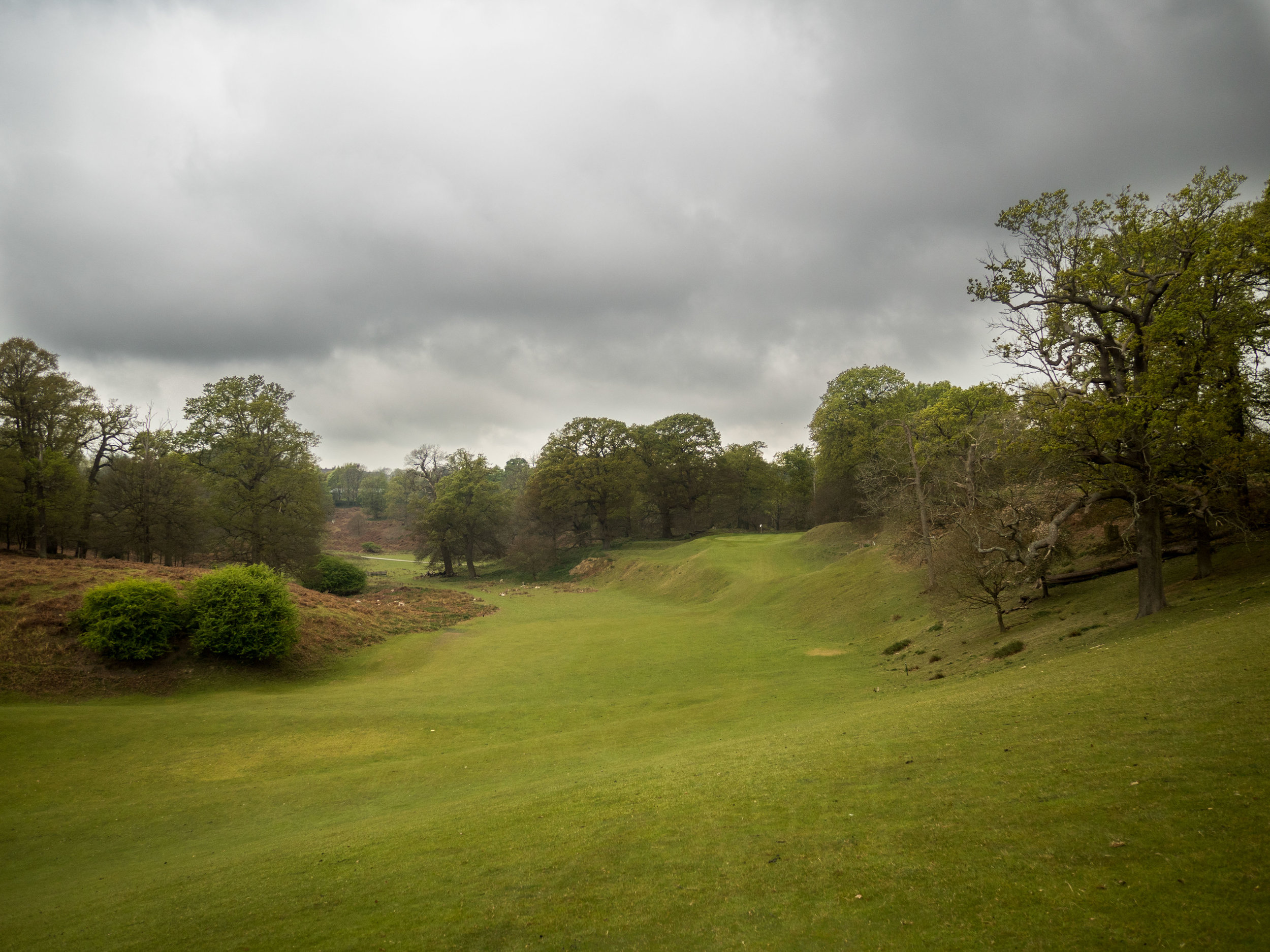 Knole Park 