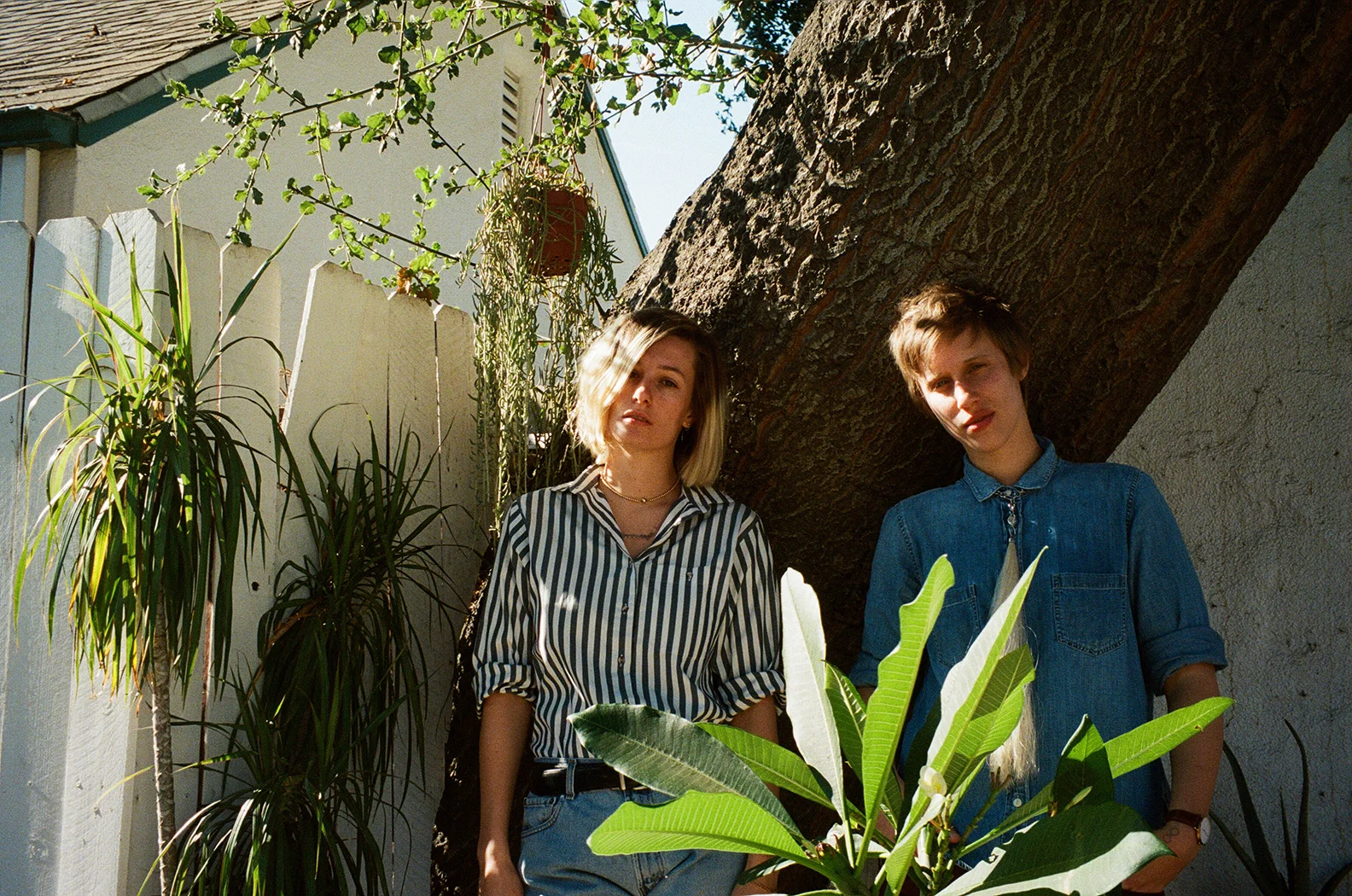 ANMLPLNET by Charlotte Chanler 1.jpg