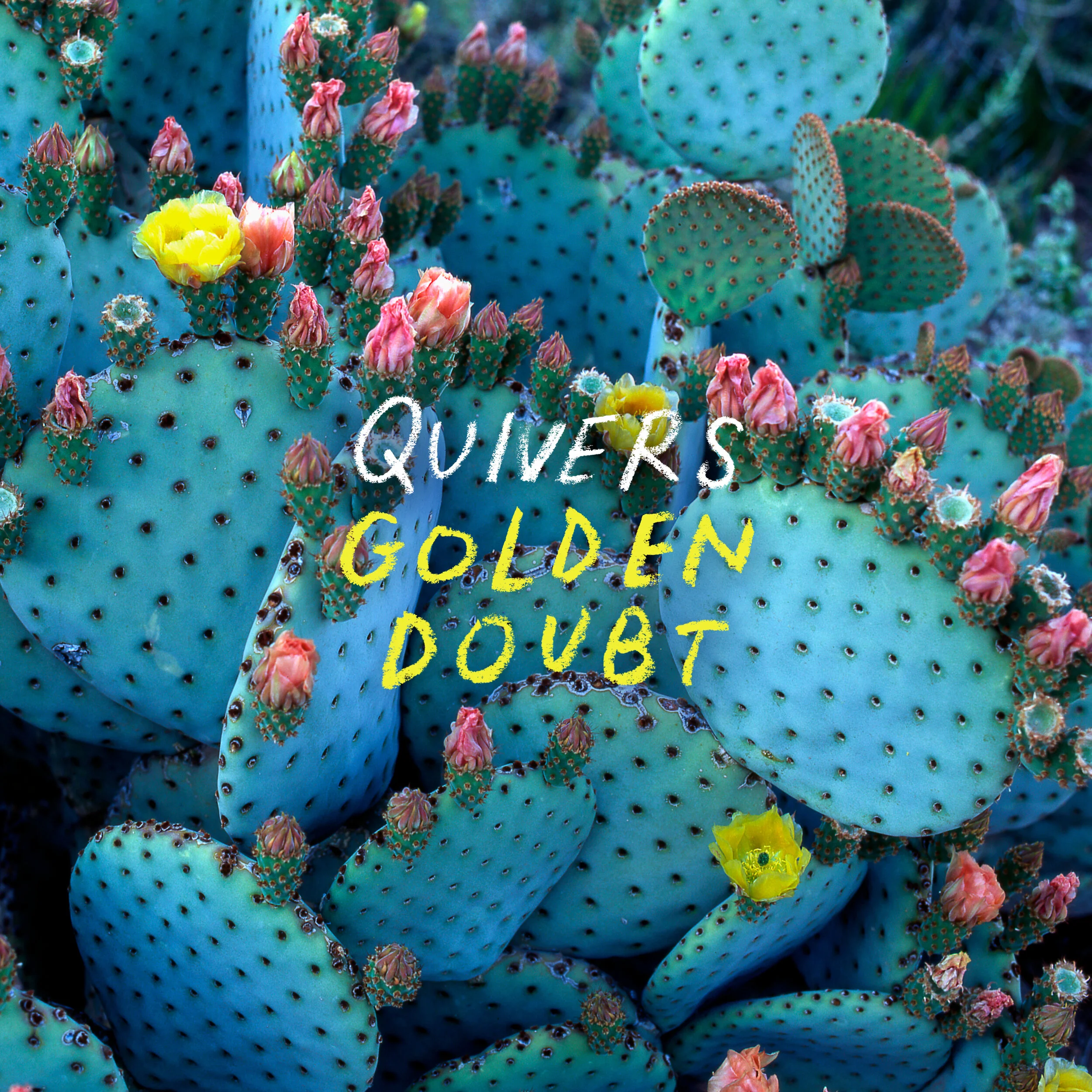 BING164 Quivers Cover.jpg