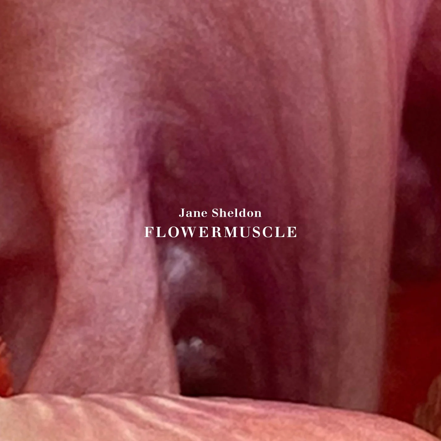 jane sheldon’s flowermuscle out june 27th