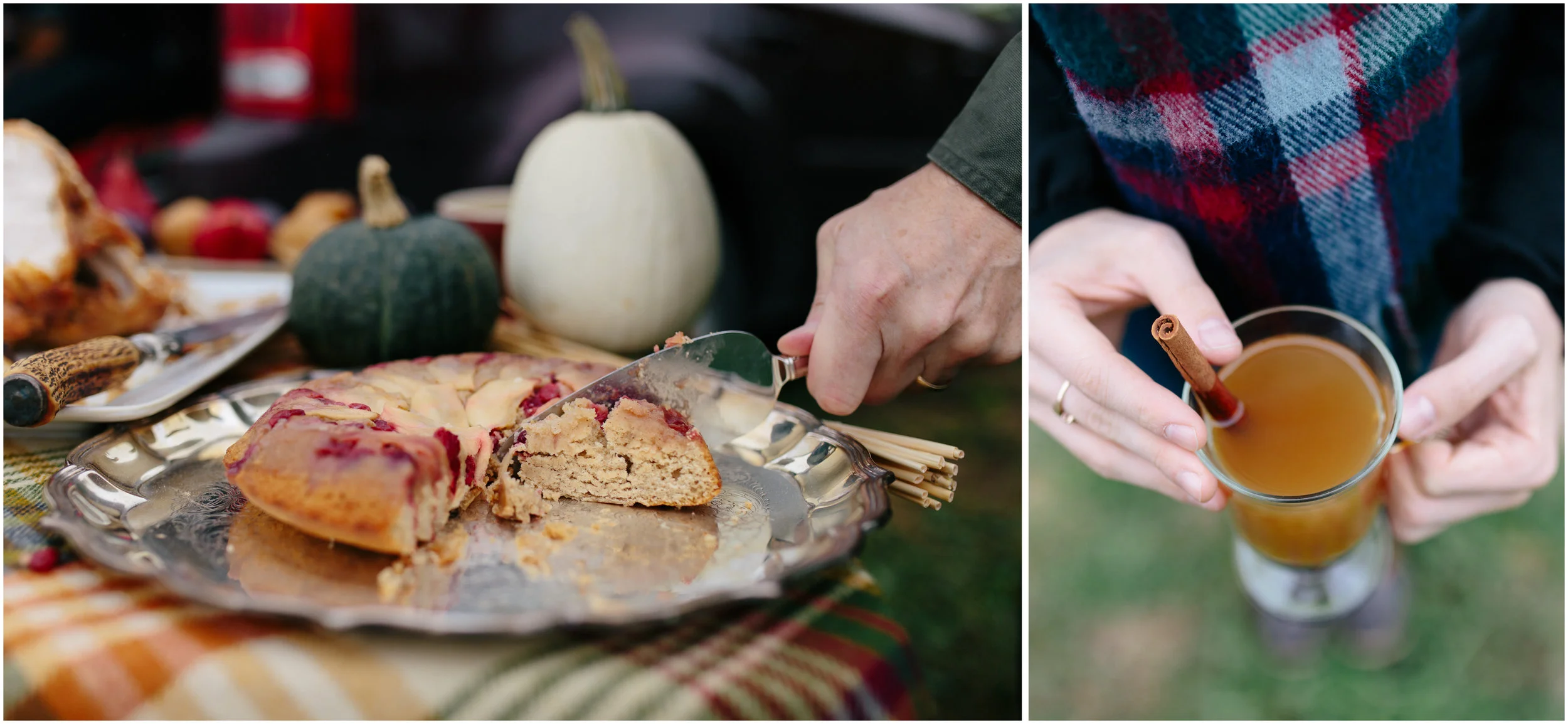 Pie, cider, drink, delicious, yummy, cranberry, fall, autumn, apple