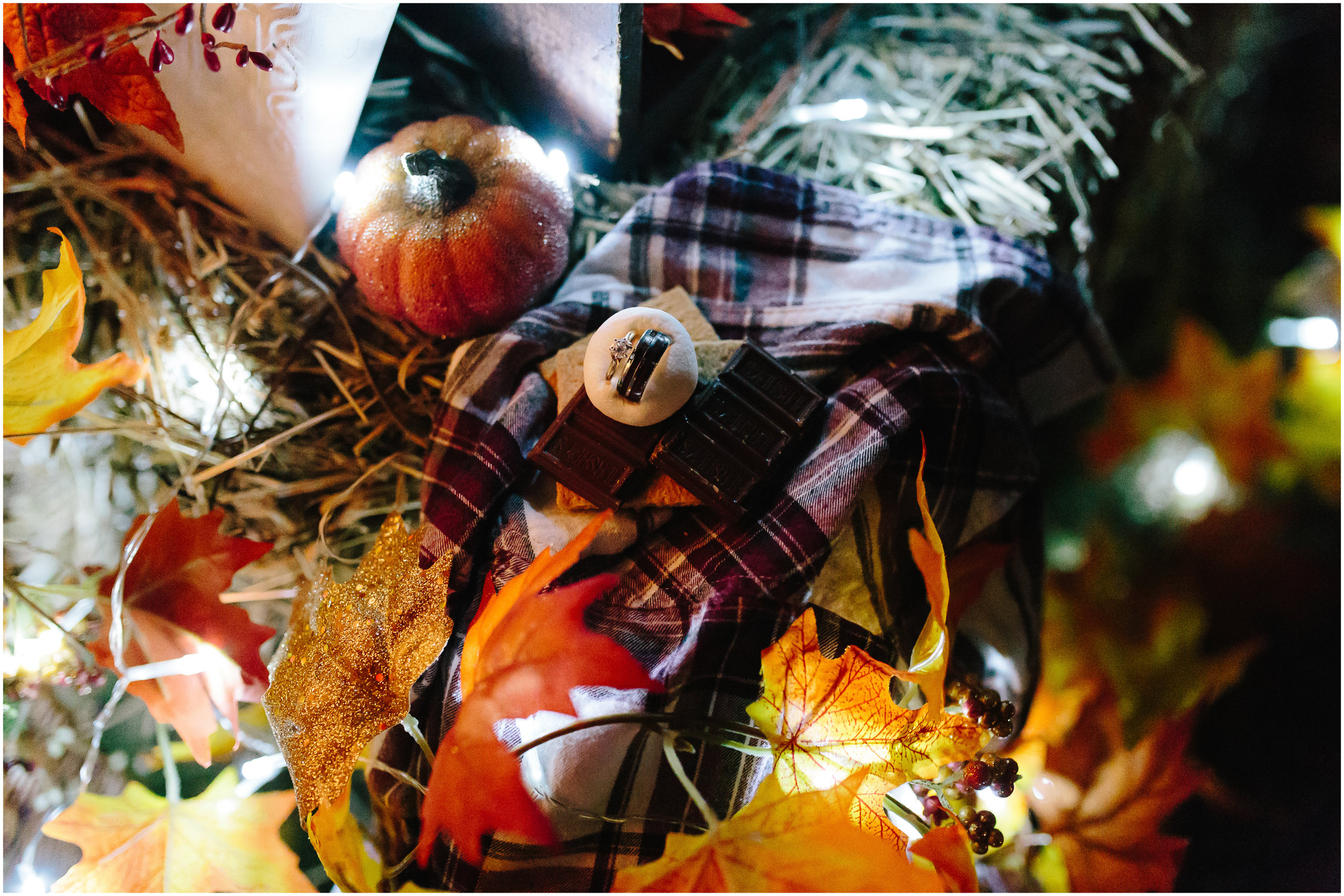 Ashleigh Laureen Photography Journalistic Fall Wedding in Hooksett, New Hampshire, Reception Details Rings