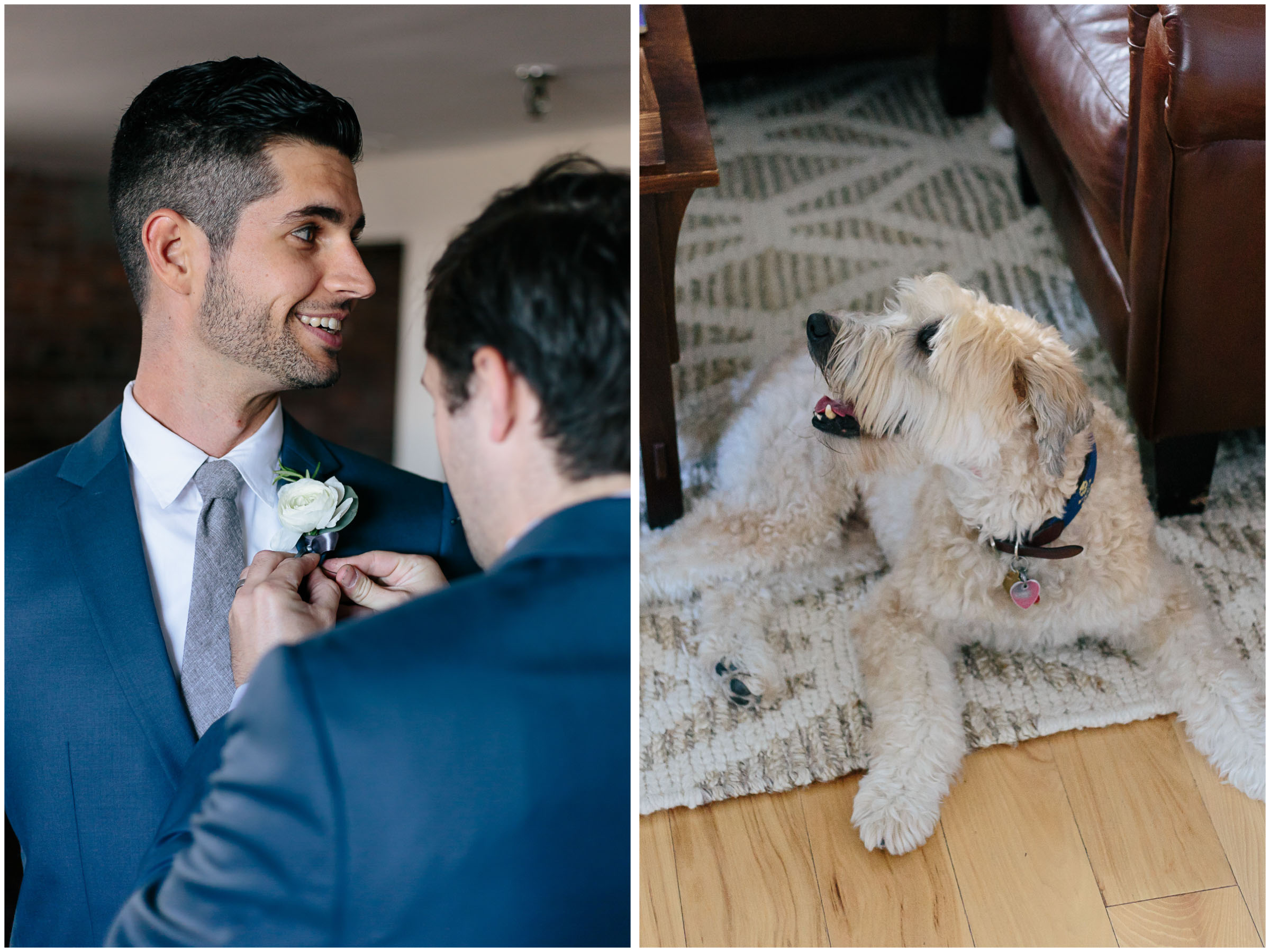Nautical Massachusetts Jewish Wedding in the Boston Navy Yard groomsmen and dog