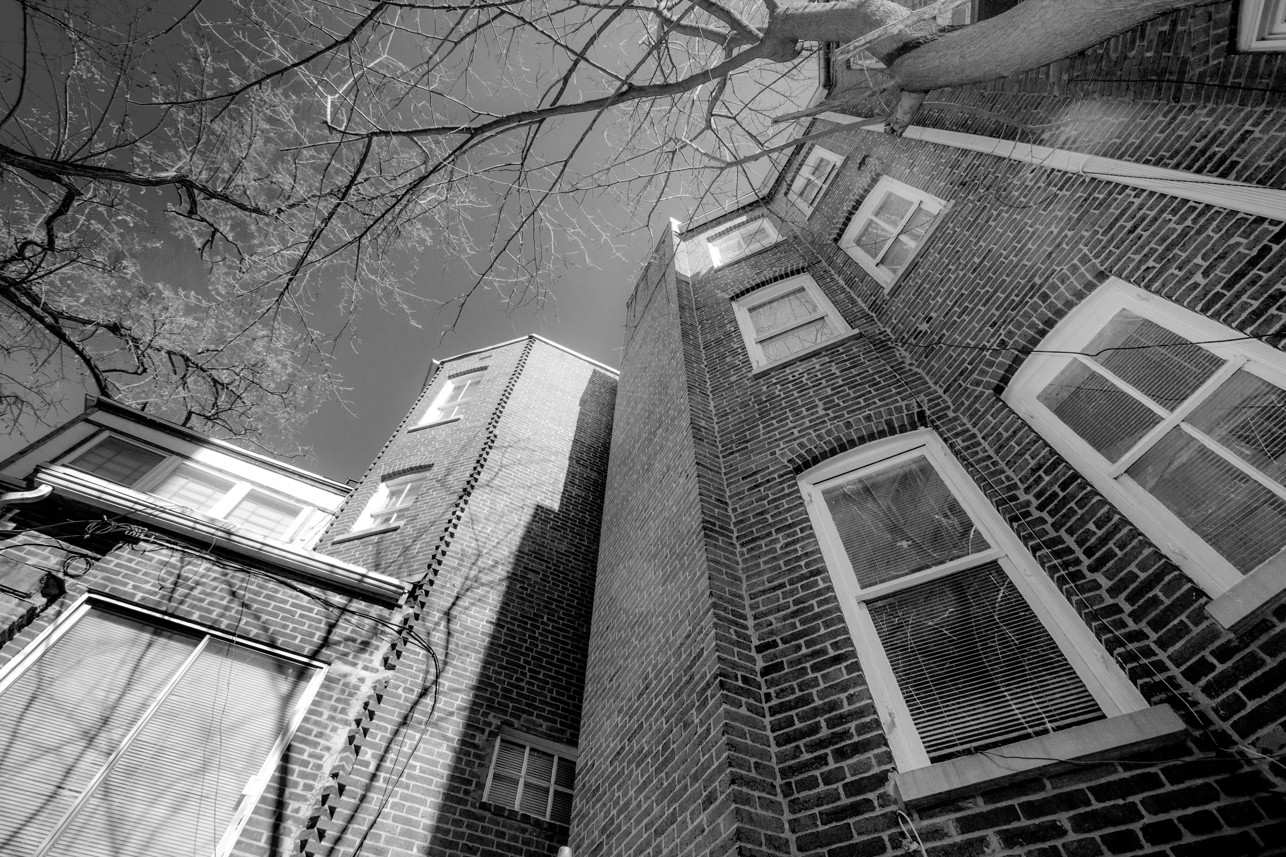 1508 rear exterior.jpg