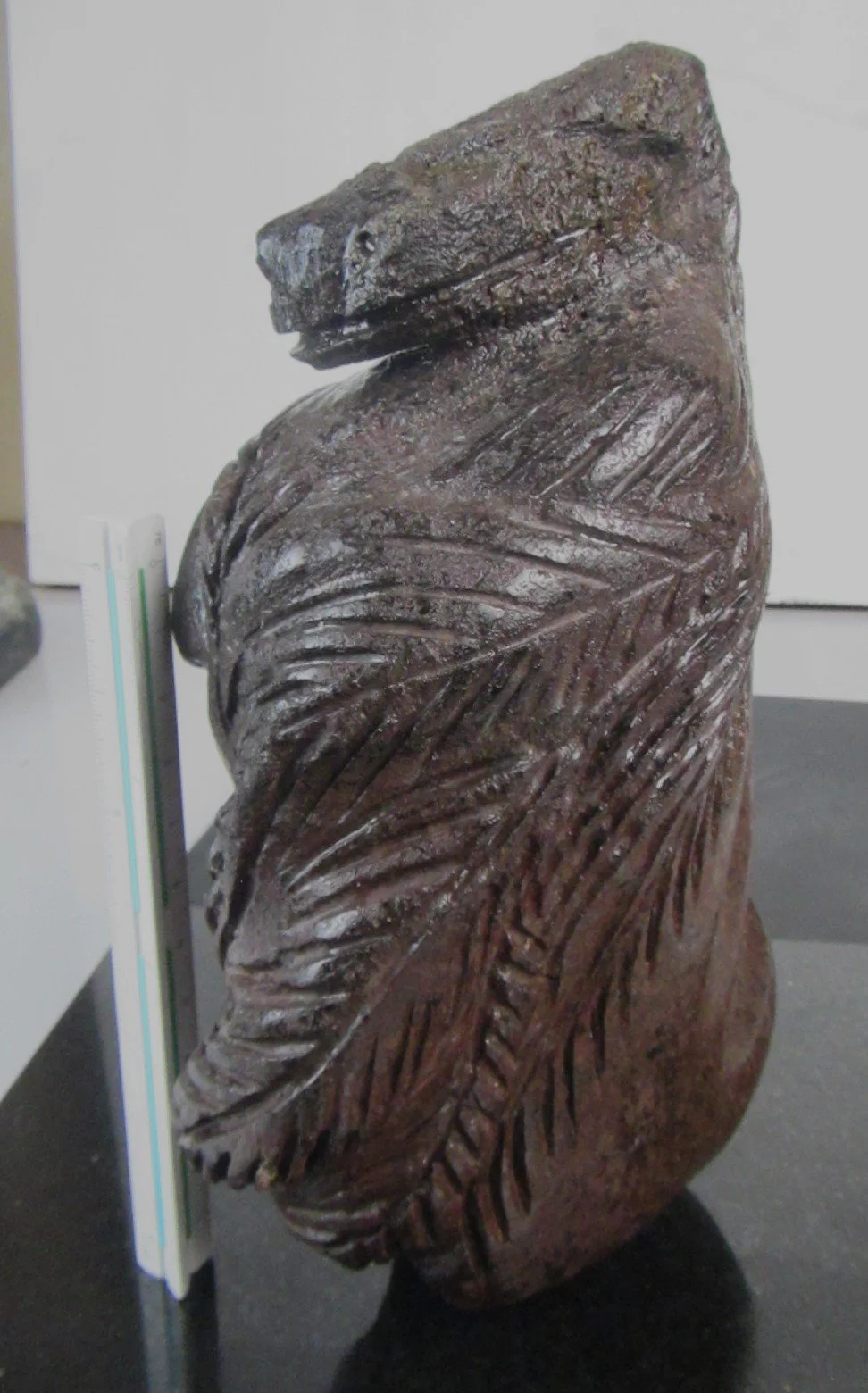Featheared Stone (2) - Anguiano Beltran.JPG