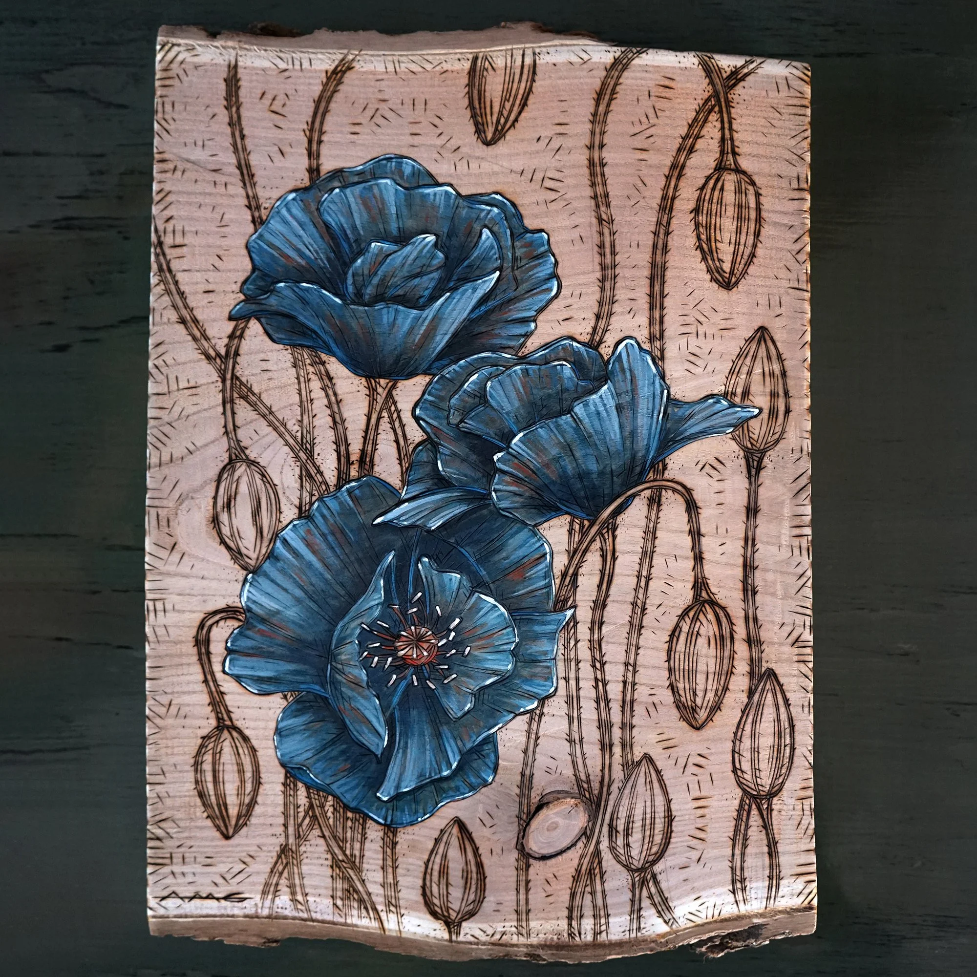 Dark-Poppies-01sm - Ana Li Gresham.jpg