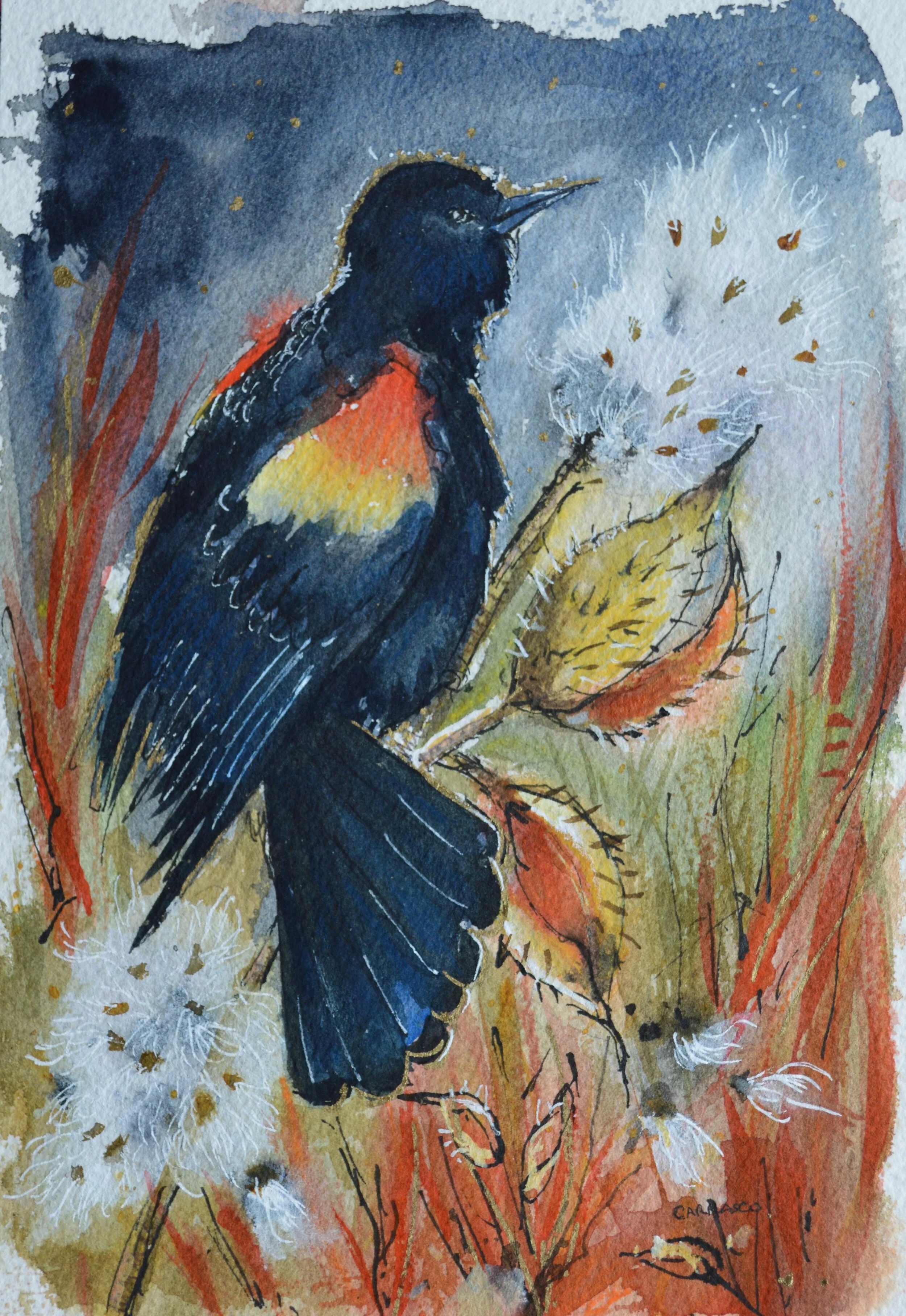 Red Winged Blackbird