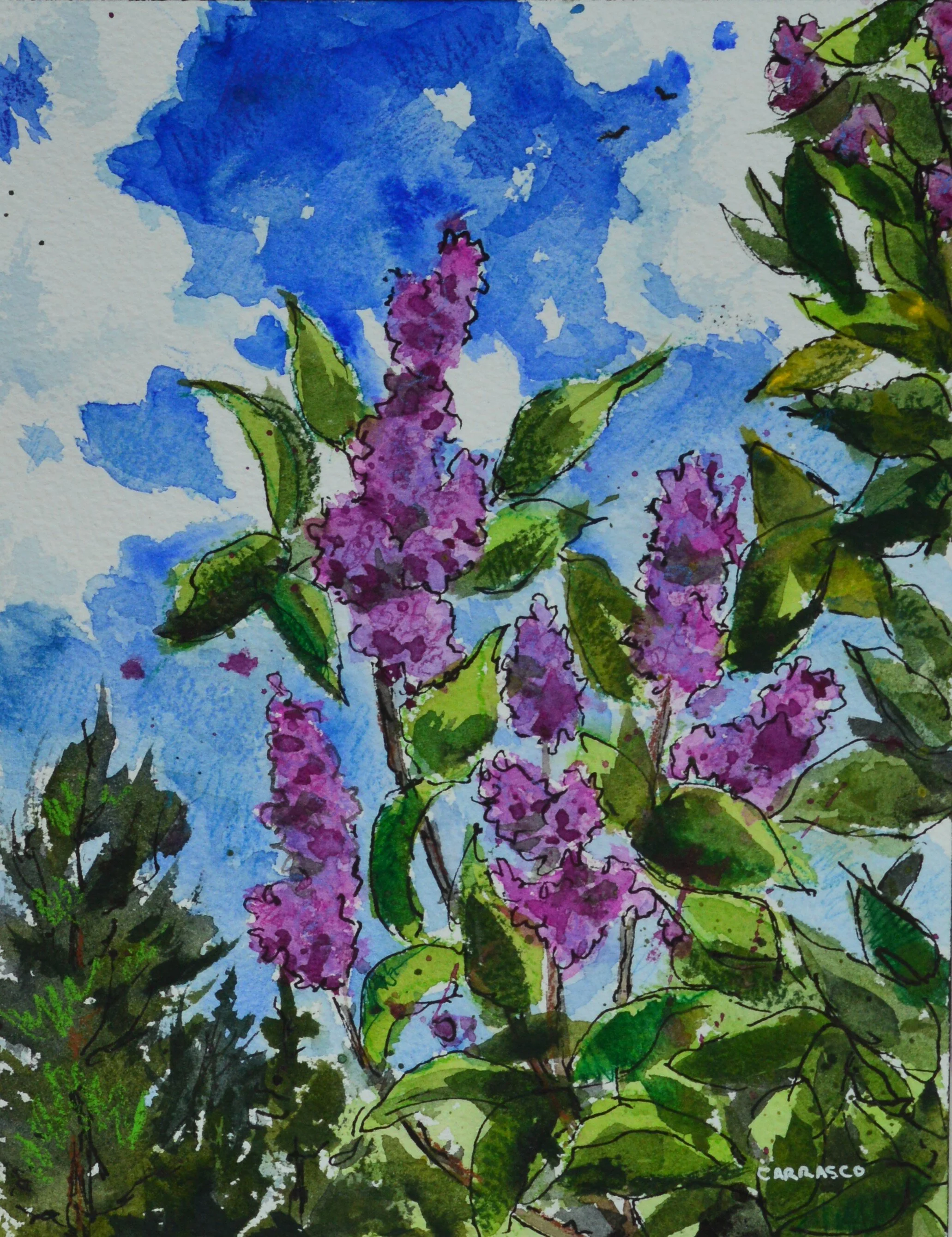 Last of The Lilacs