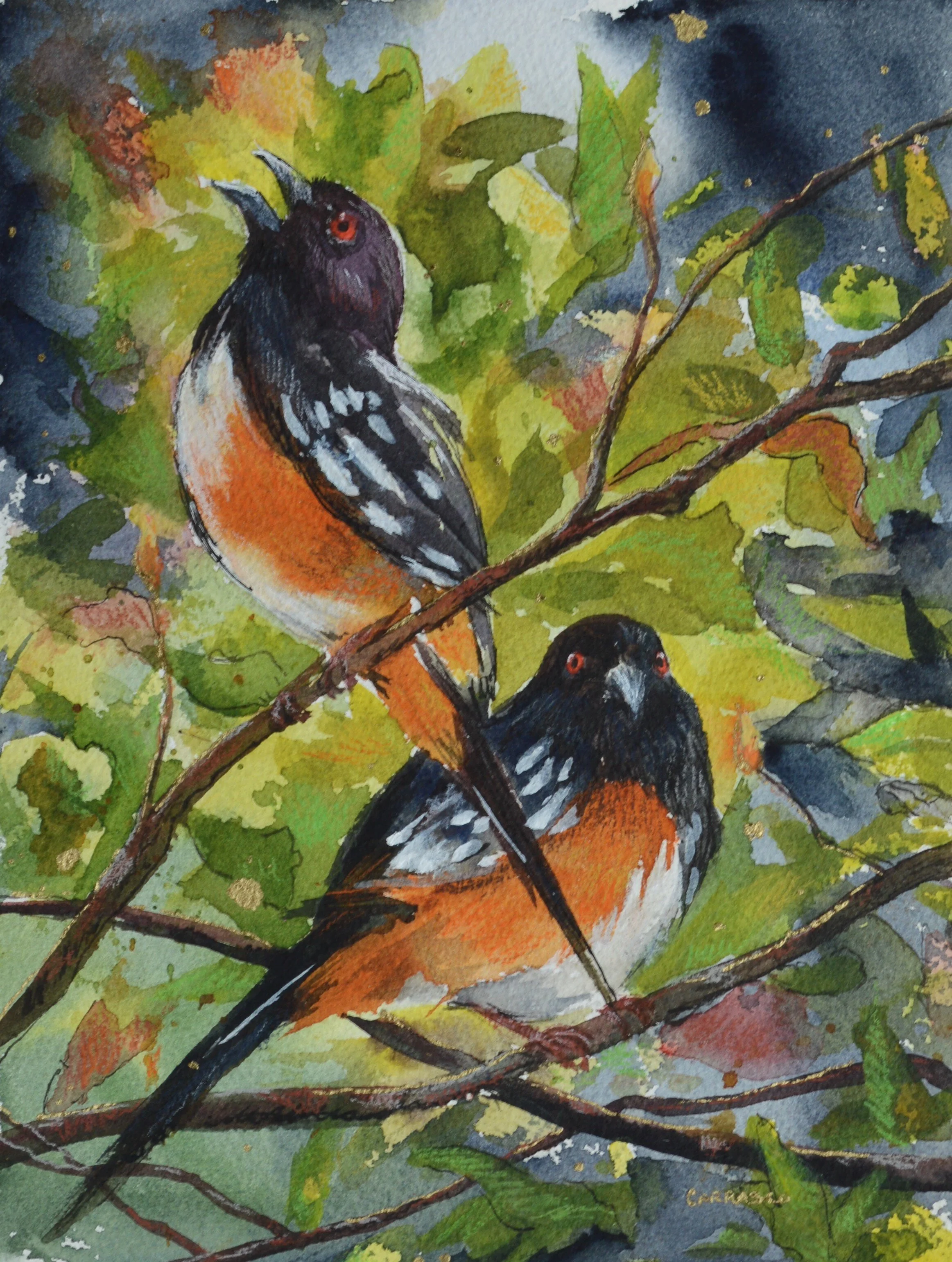Love Birds
