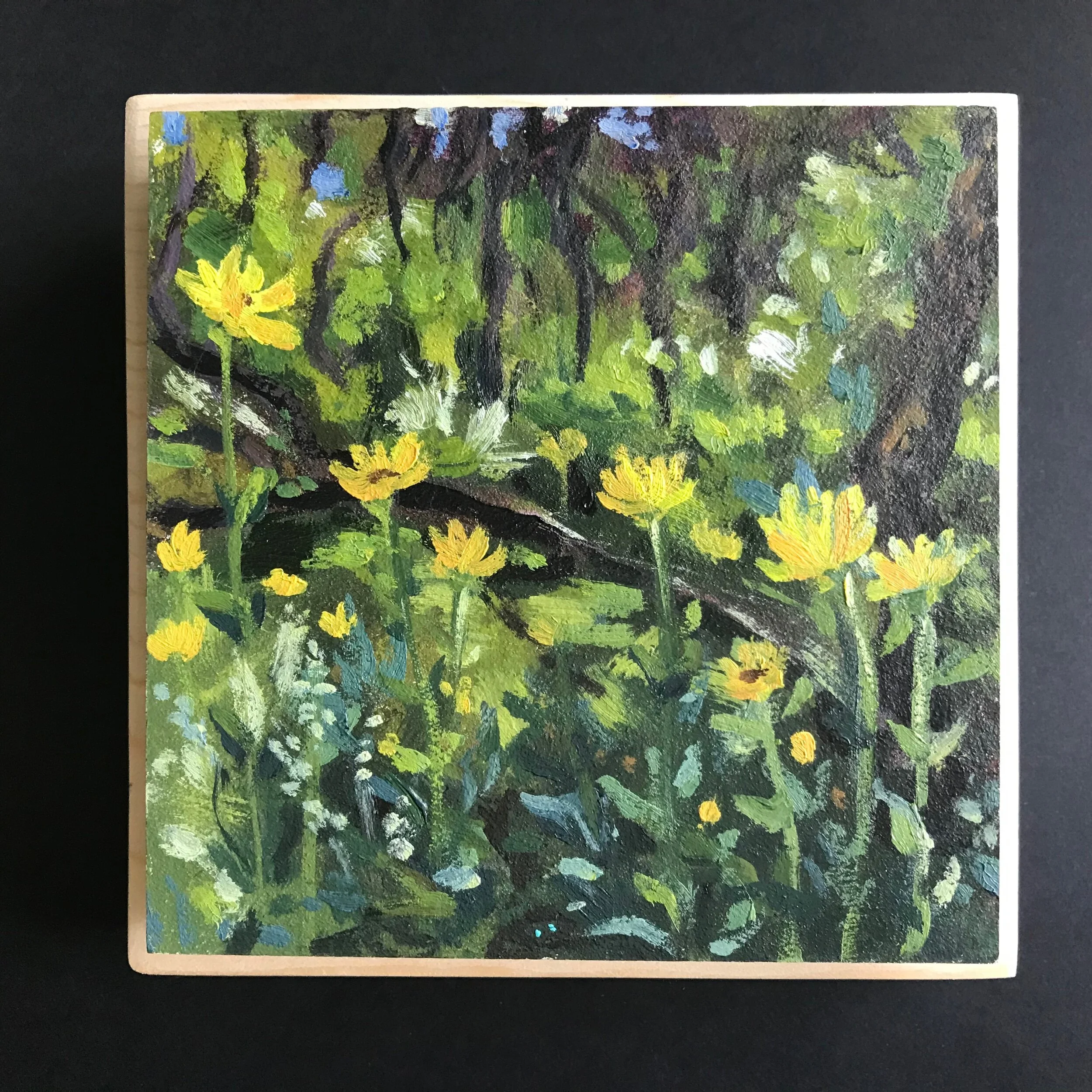 162D16E7-4C23-4D87-A530-683296A7406D