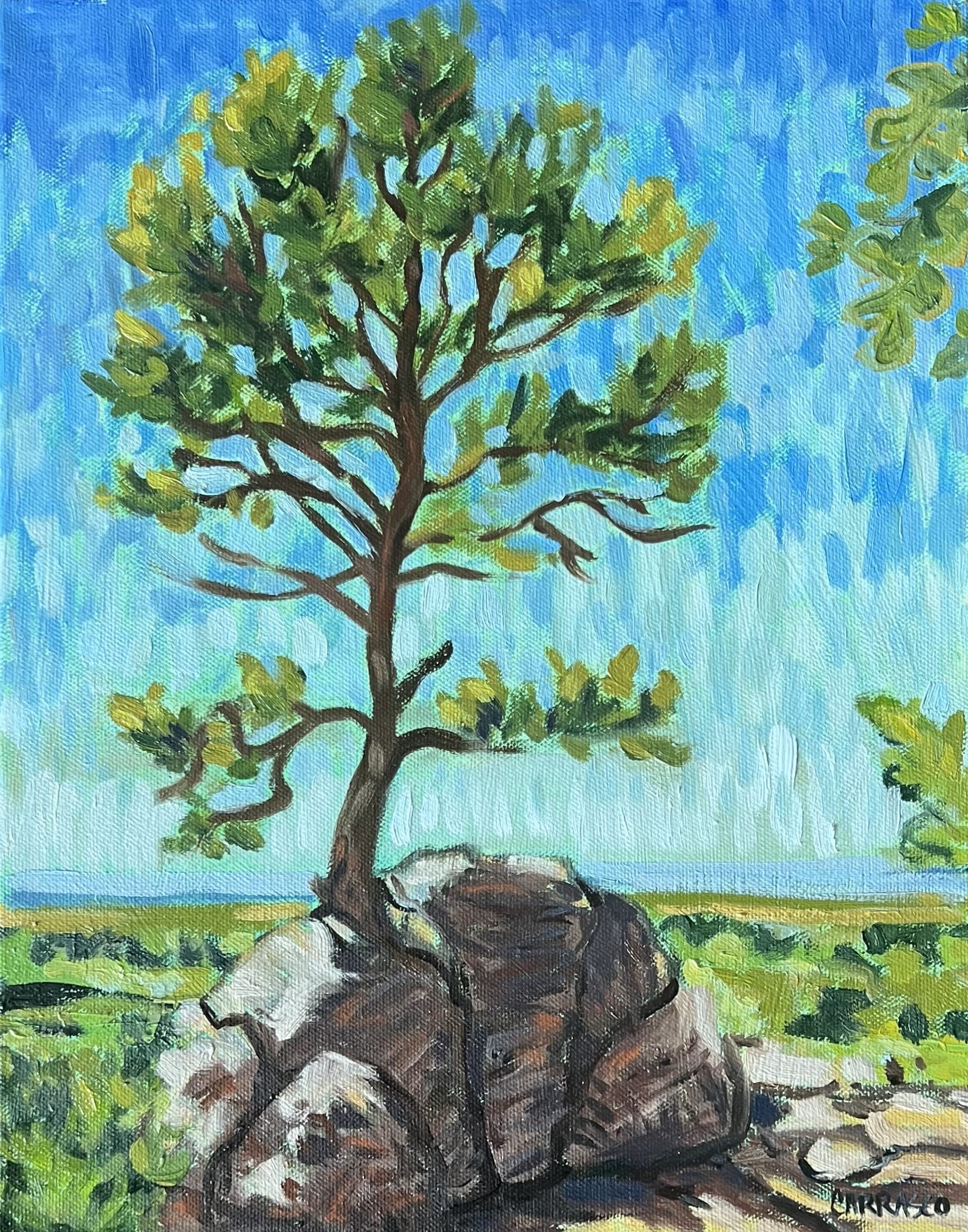 That Tree On Blackmer Loop 