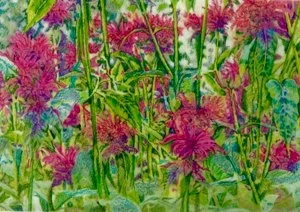 Art Card