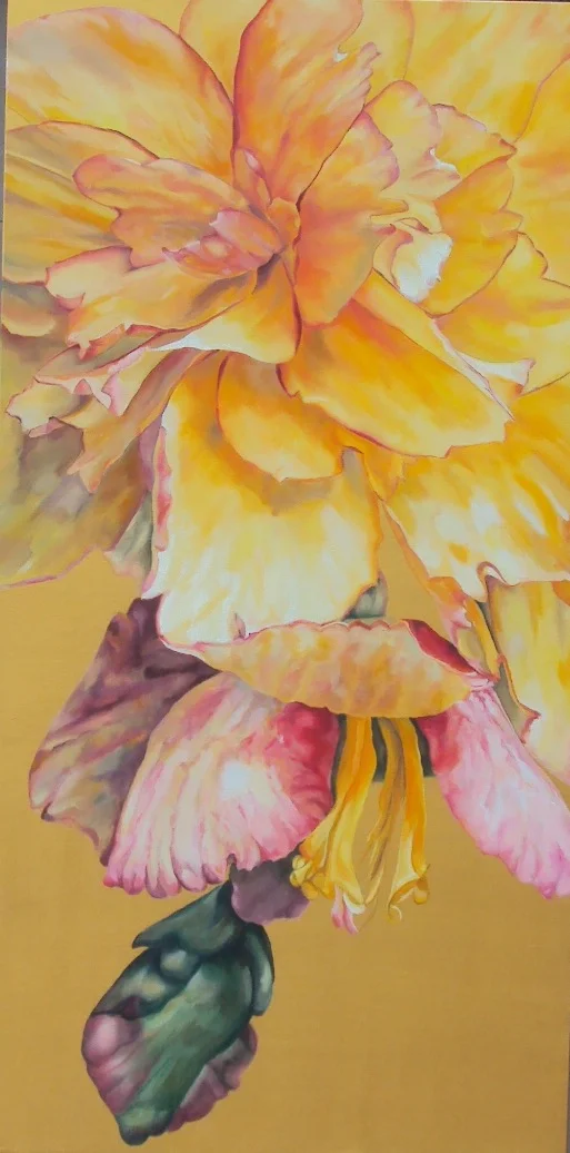 Yellow Gratitude Begonia