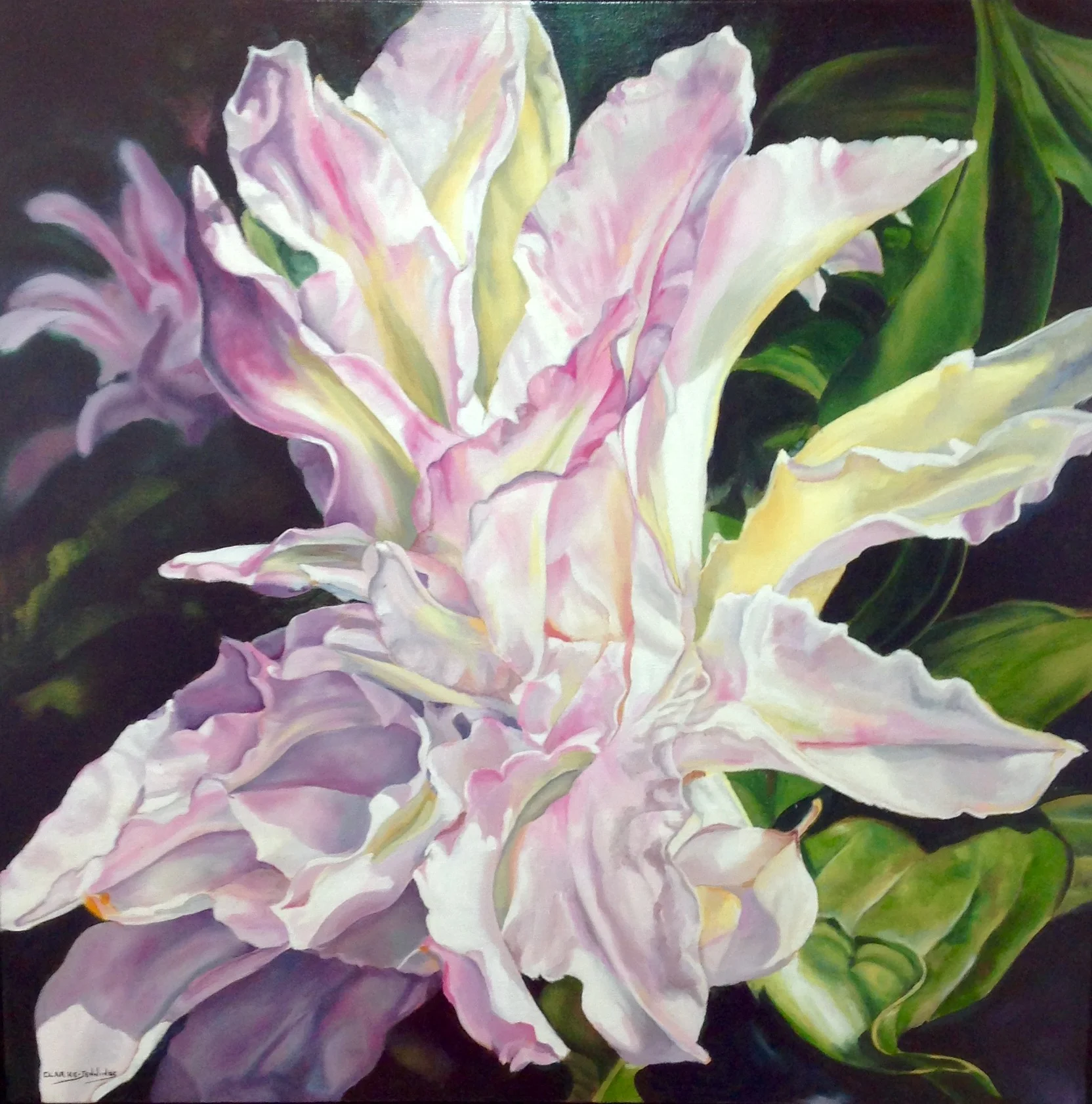 Oriental Lily