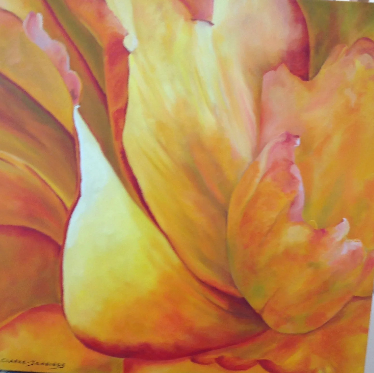 Red Begonia