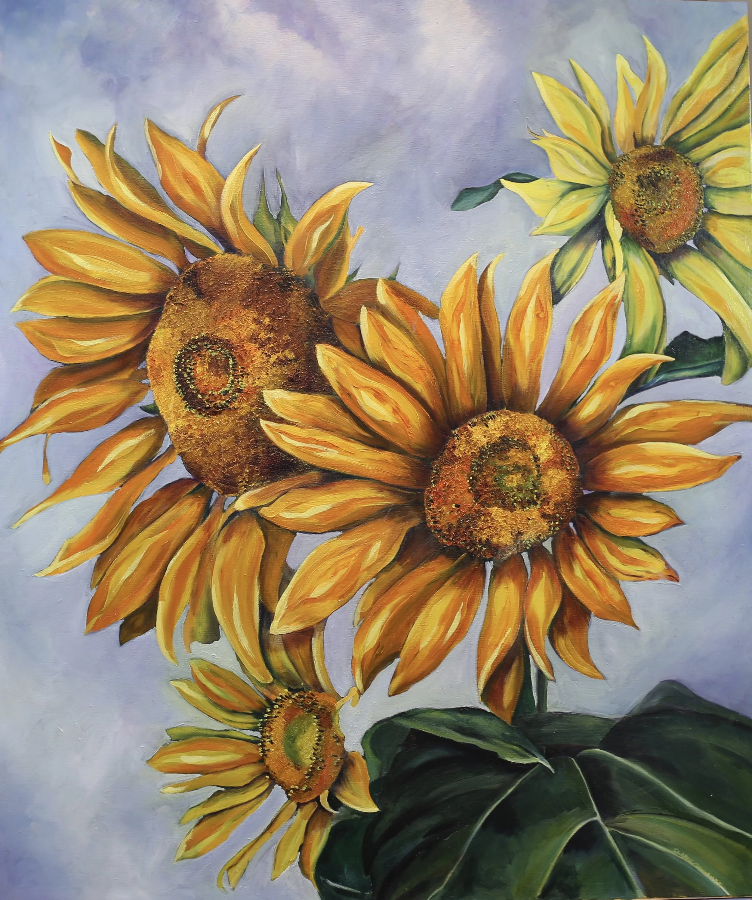 Moods of a Sunflower