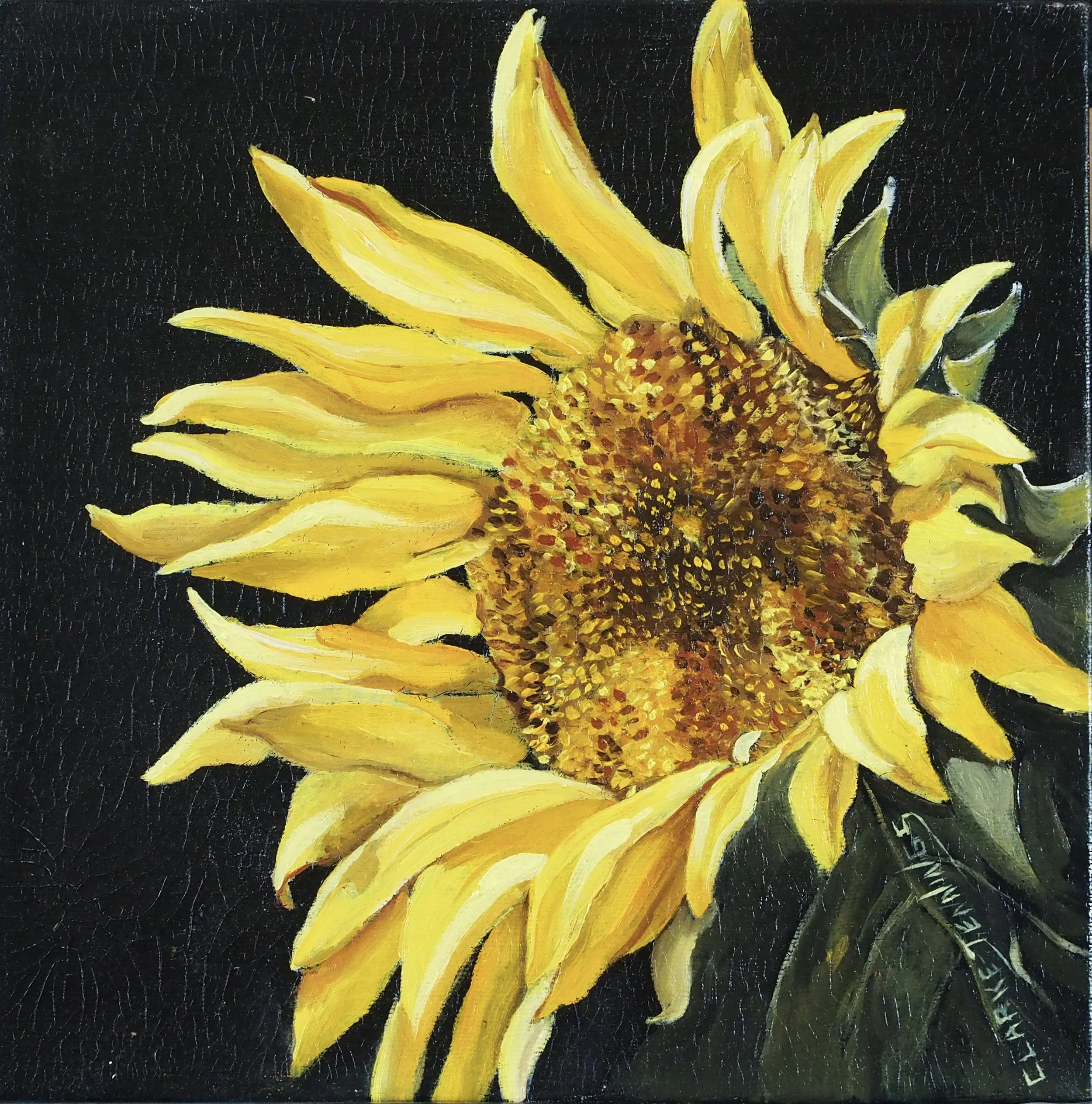 Country Sunflower