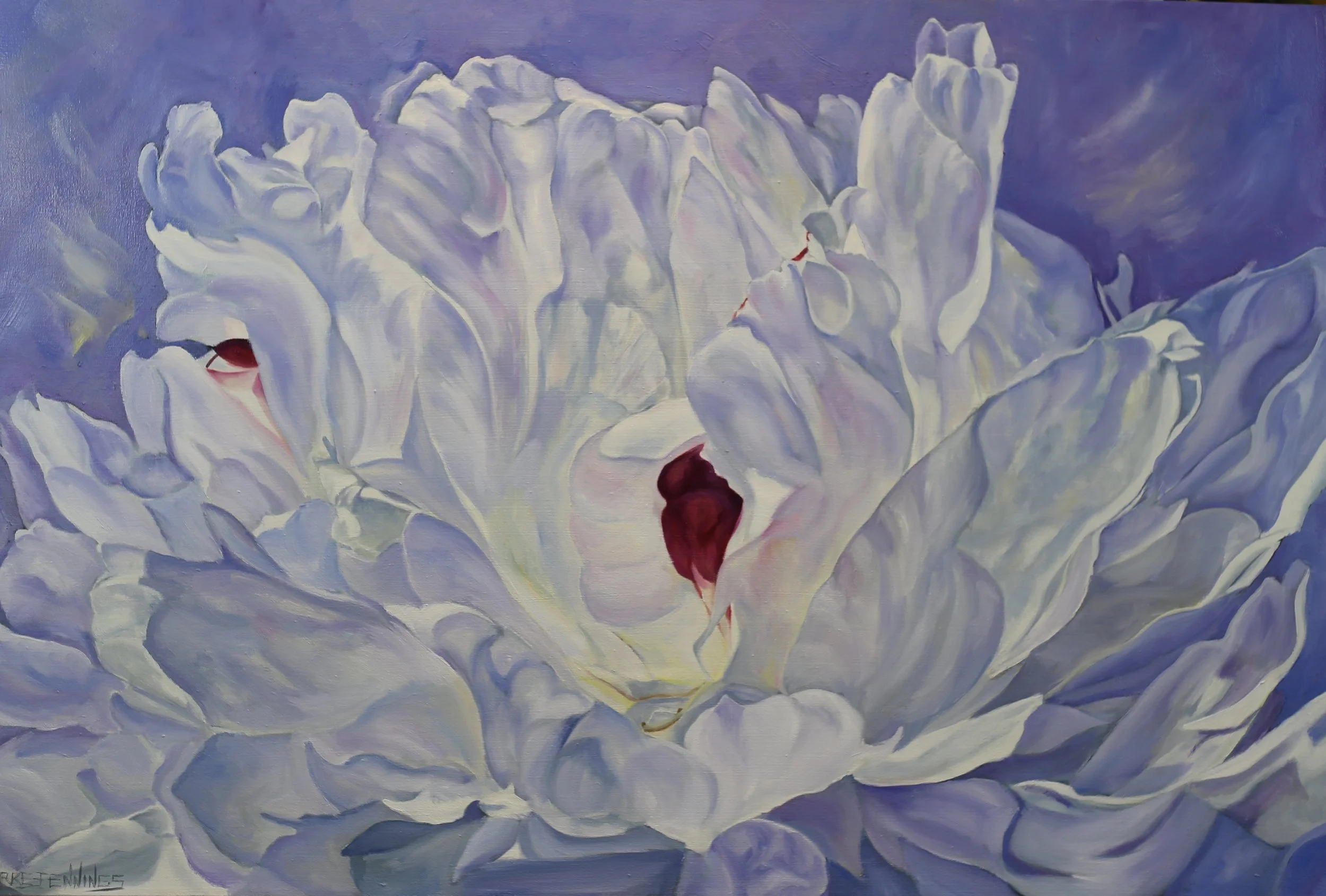 Bashful Peony