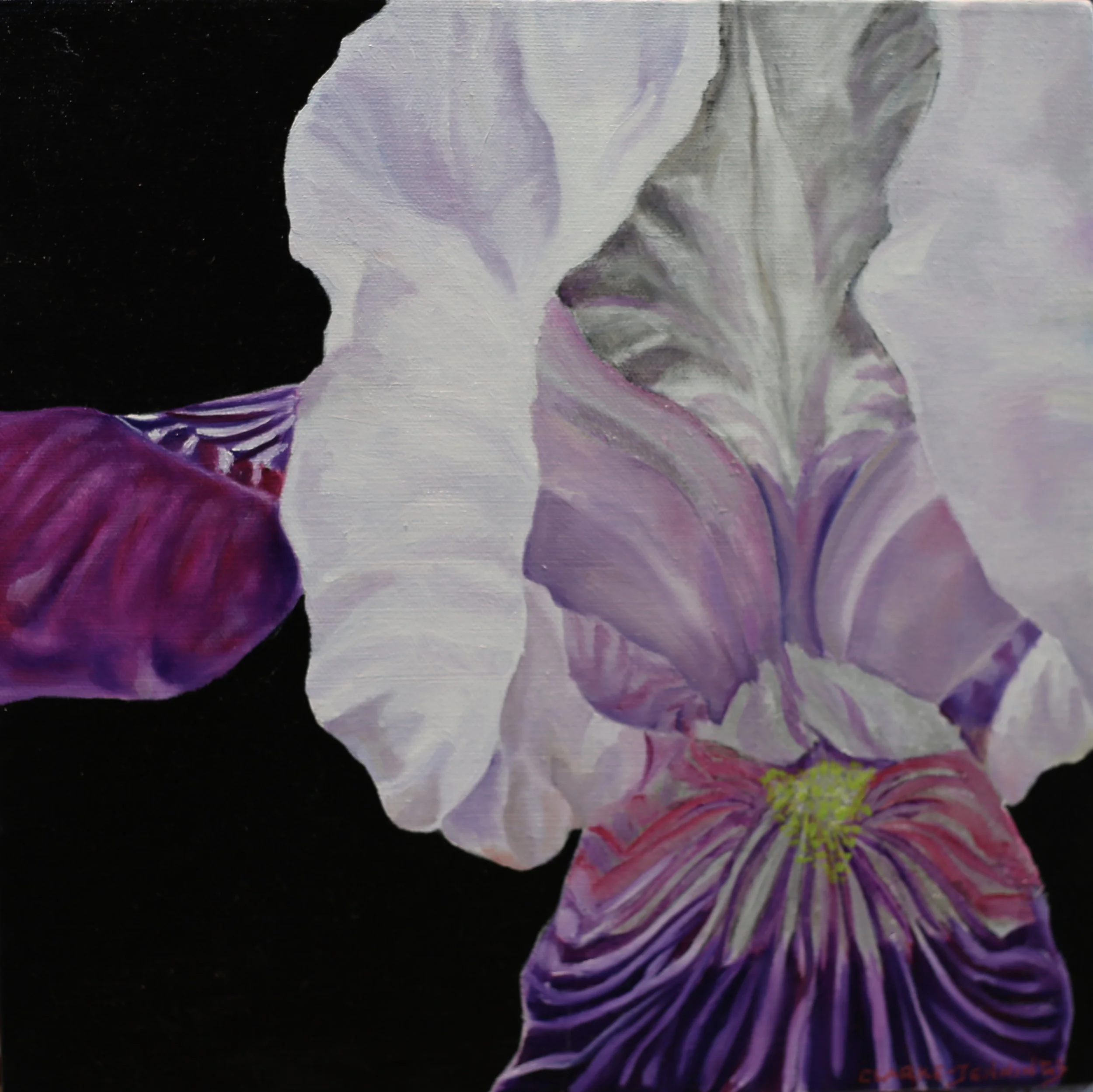 Intuitive Iris