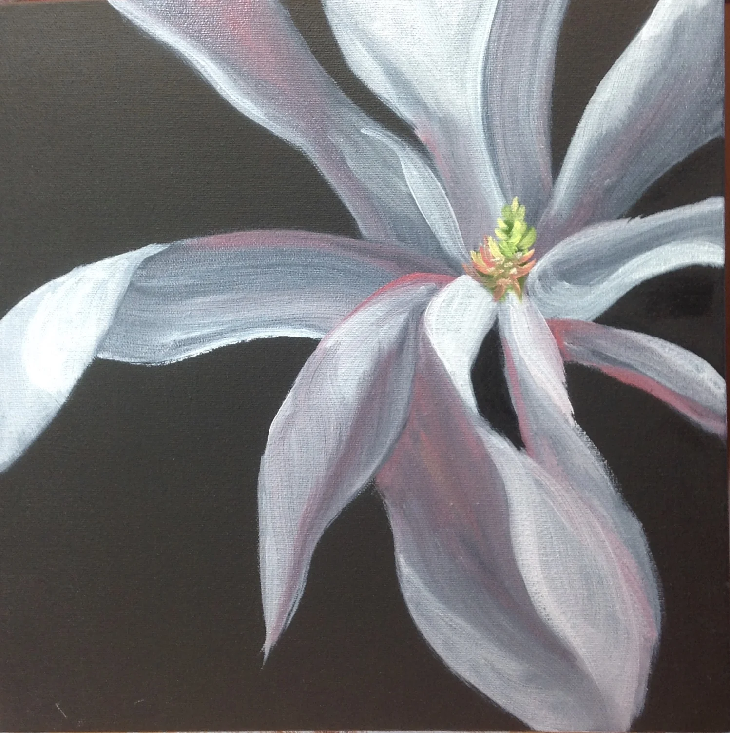 Magnolia I