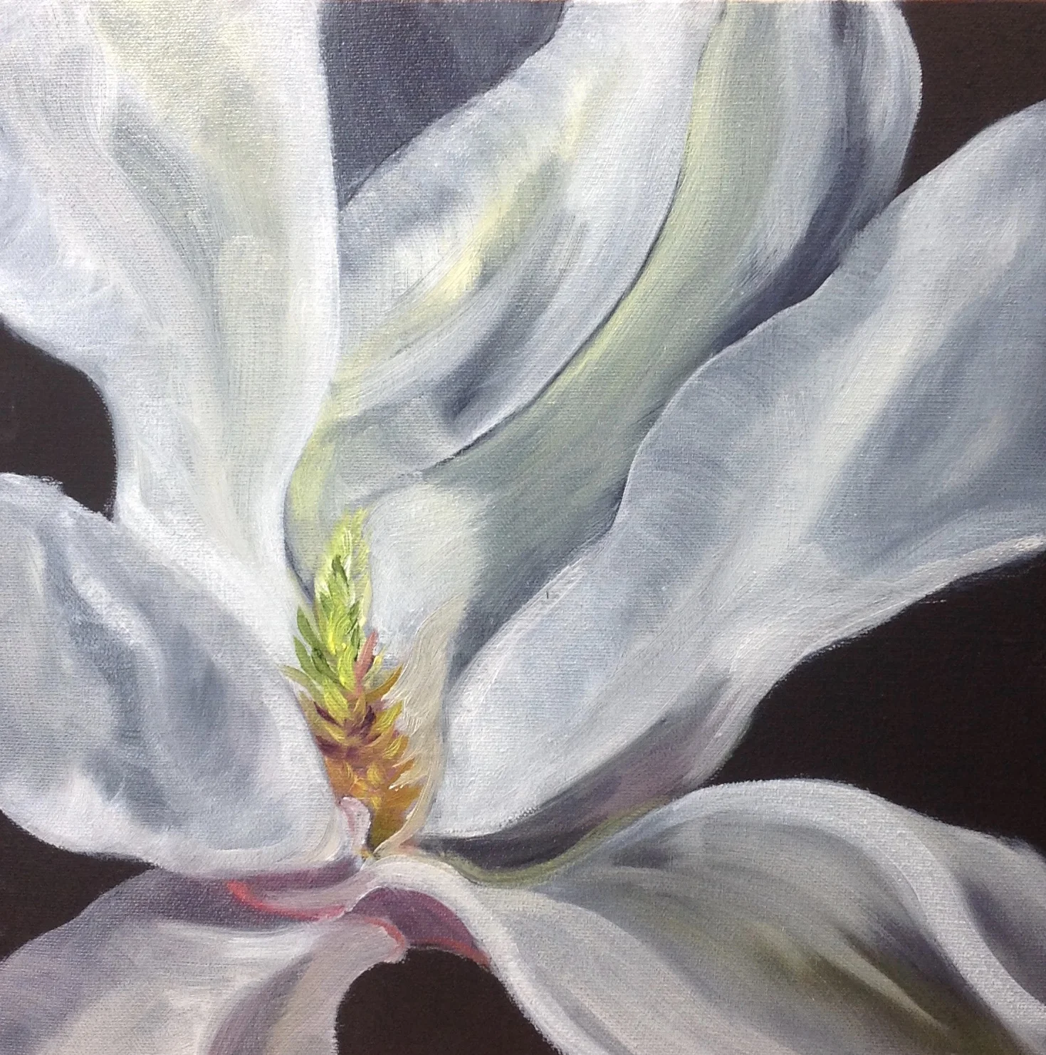 Magnolia IIII