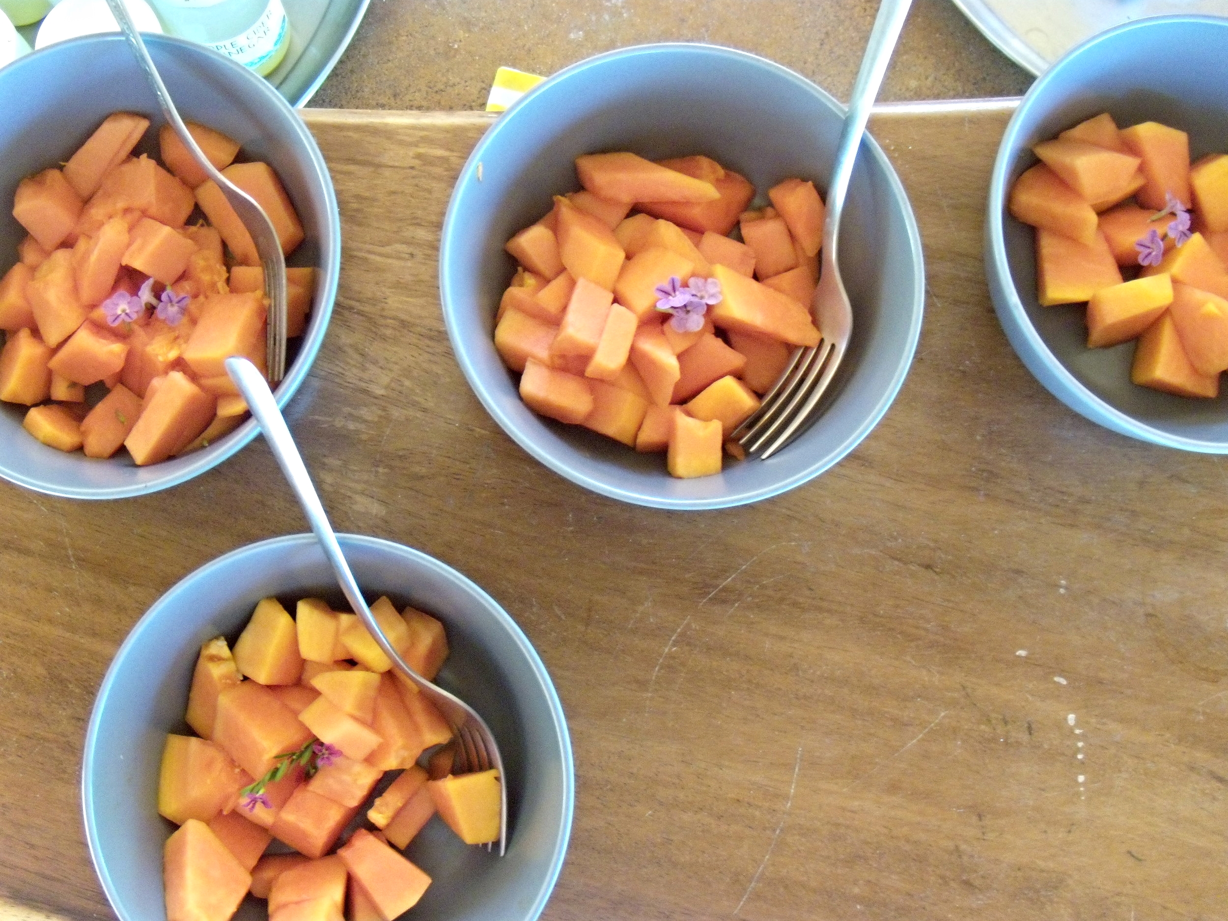 I will never forget how amazing this papaya tasted as my first solid food off the cleanse..! Full of natural pre-biotics. An ideal food to break the fast with.