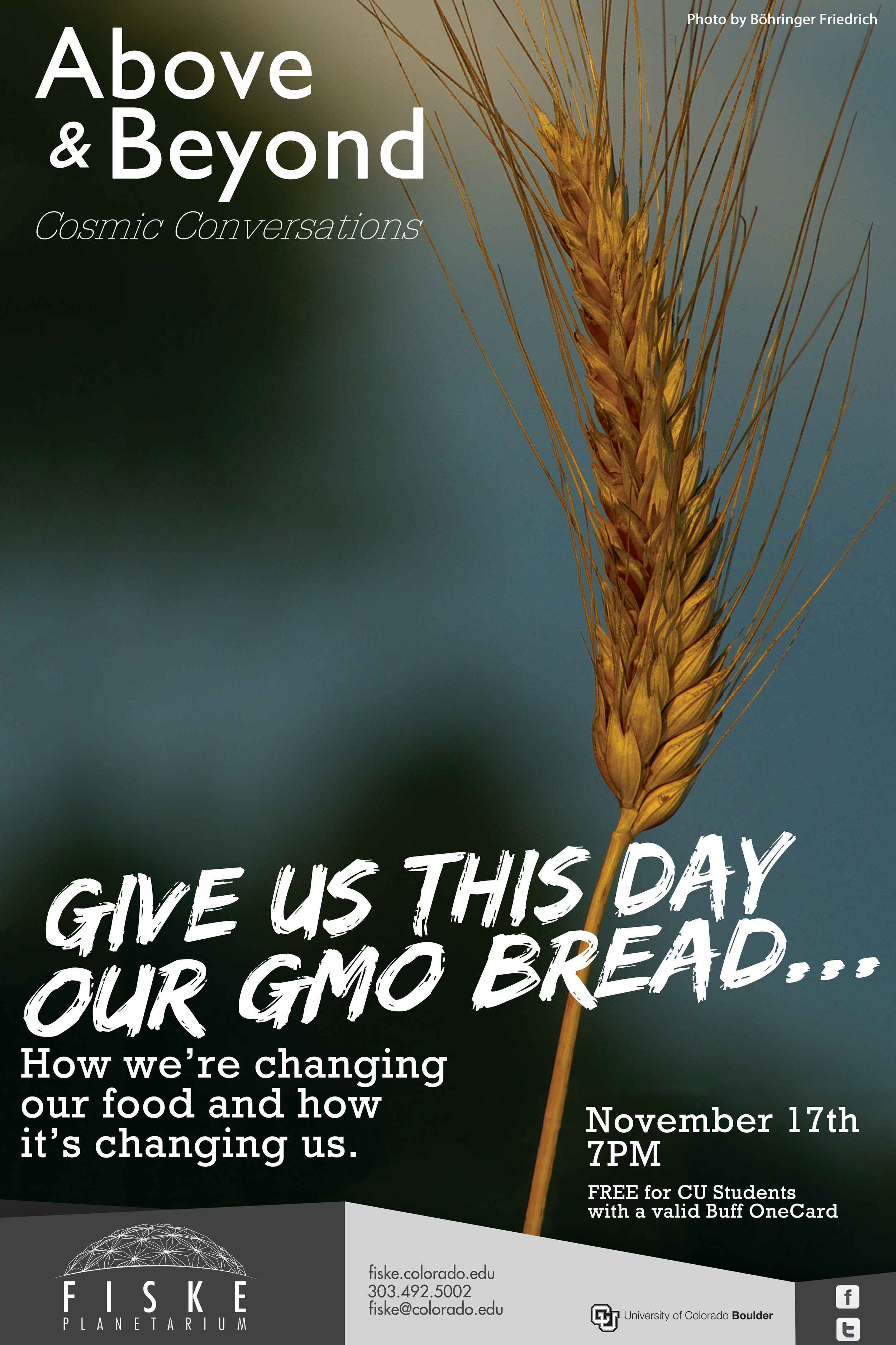 GMO-Bread.jpg