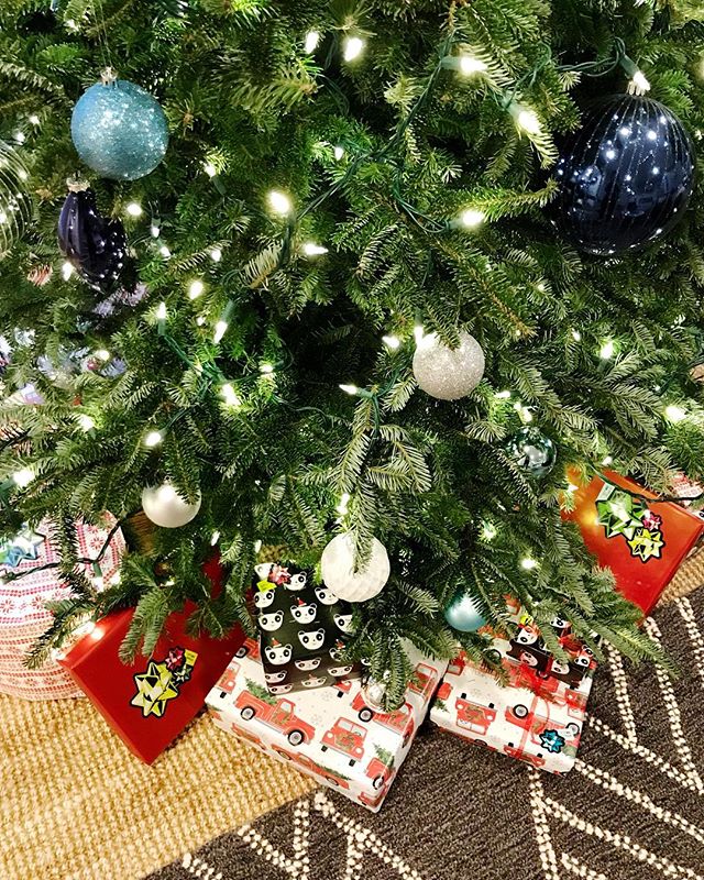 Happy merry everything! 😊🎁🎄 I hope you have all had a wonderful holiday filled with loads of love and laughter! 💫
&mdash;&mdash;&mdash;
#MerryChristmas #ALDlivebeautifully