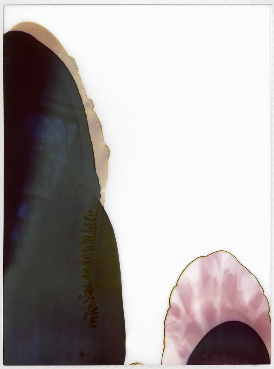 Acetate.jpg
