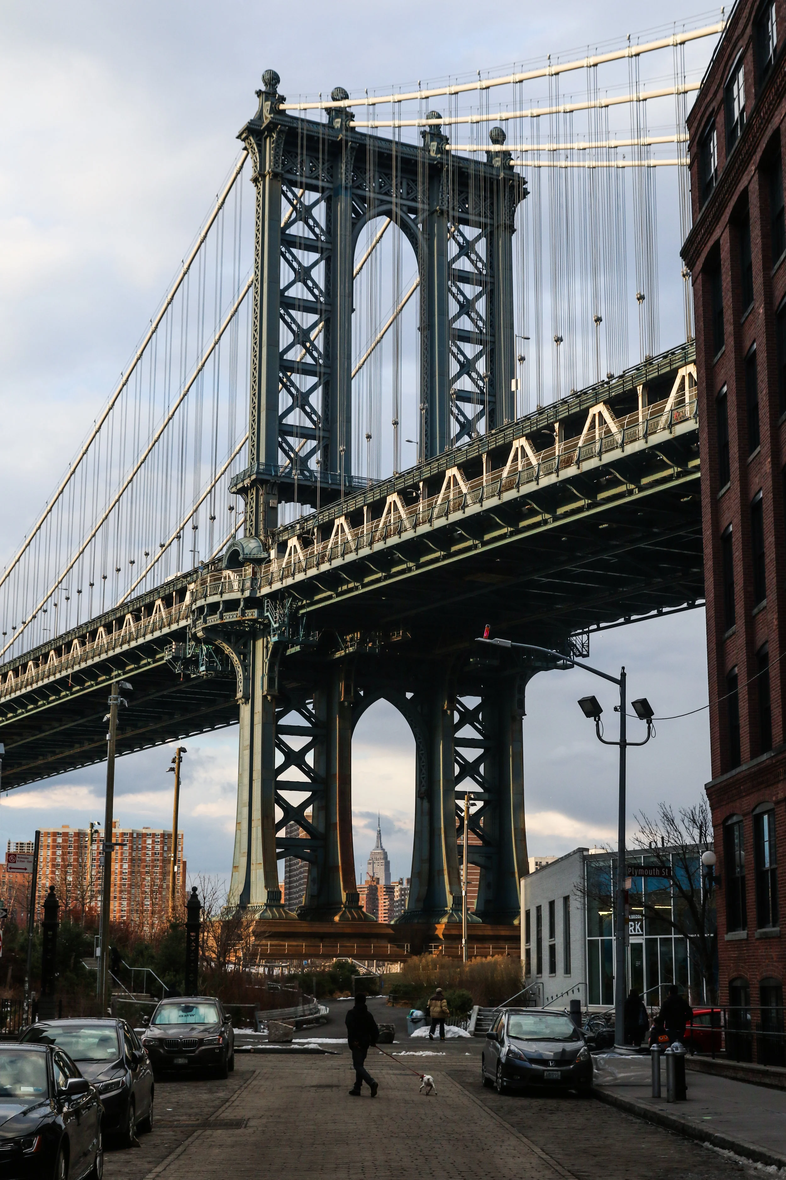 dumbo.jpg